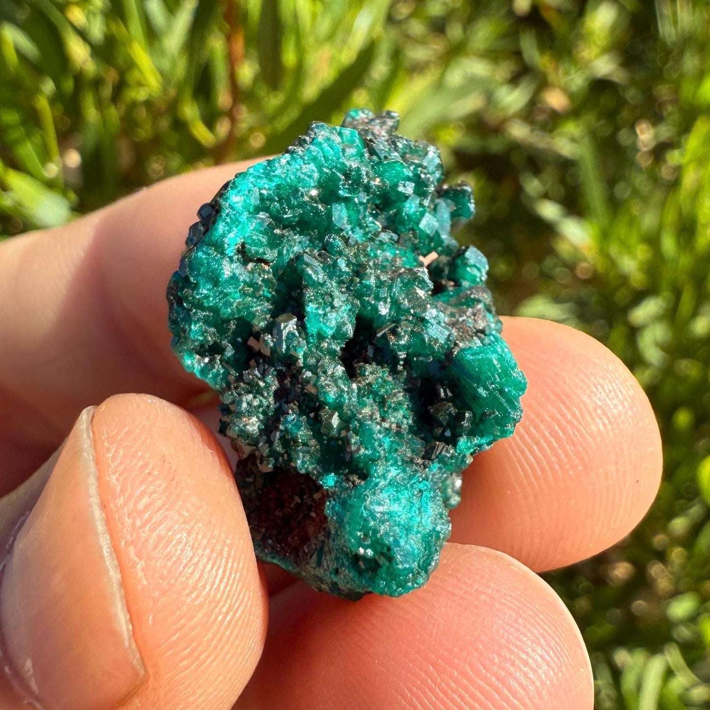 Dioptase Crystal Cluster: Congo Emerald Green Gemstone, Reiki Healing, 5.96g