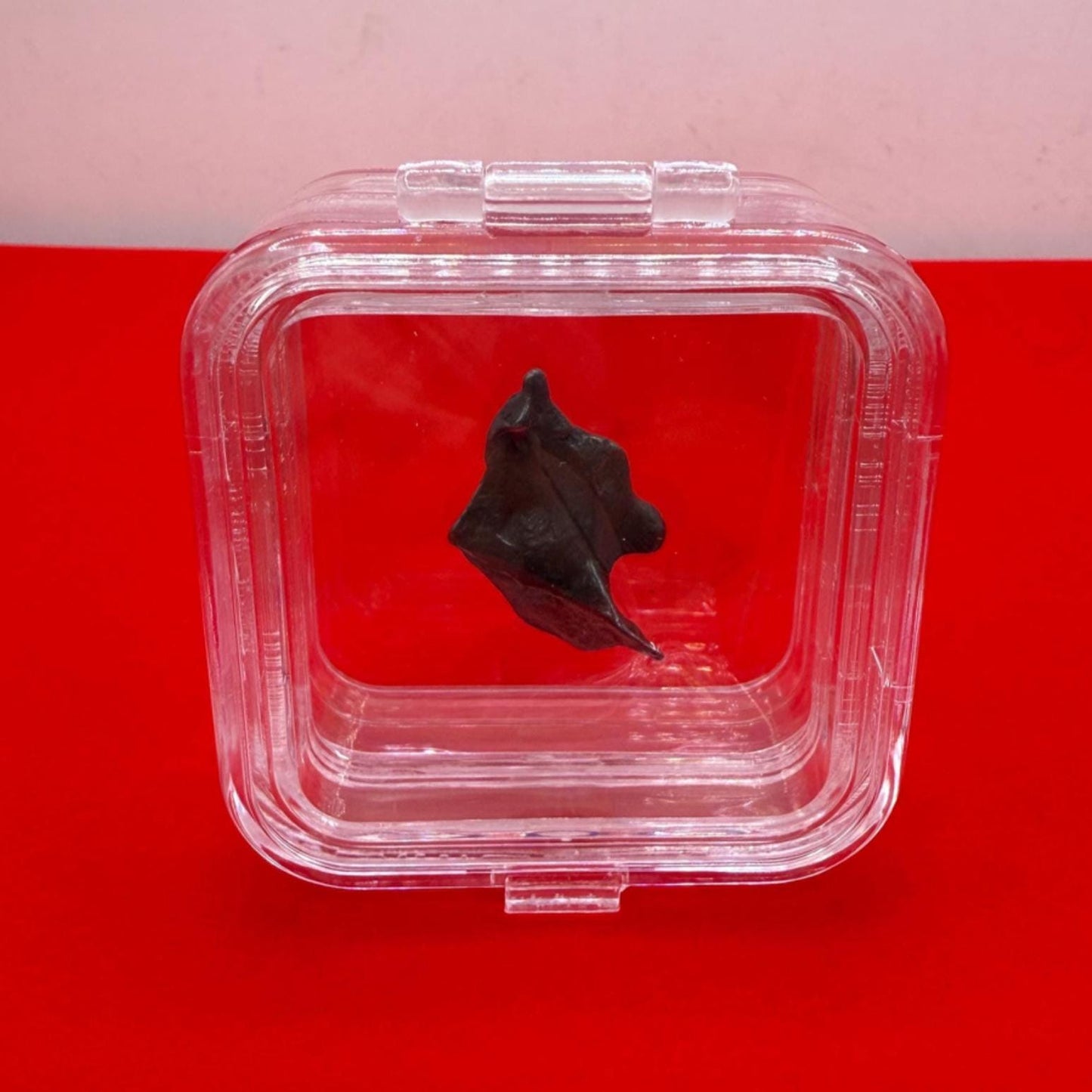 Rare and Unique Agoudal Meteorite Specimen,  grams, Iron Meteorite, Astronomy Gift, Space Gift, Meteorites, Iron Meteorite, 5.04 grams