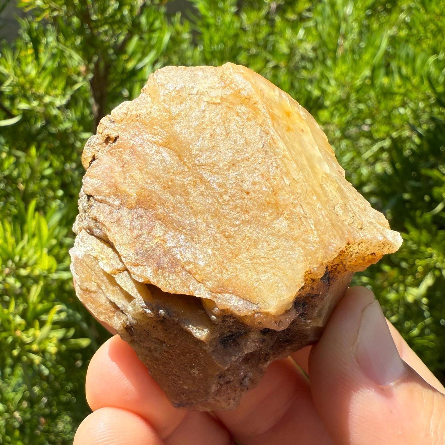 Rare Golden Brazilian Phenacite Crystal 87.54, 438 carats, High-Vibration Energy Stone, Spiritual Growth, Transformation, and Meditation