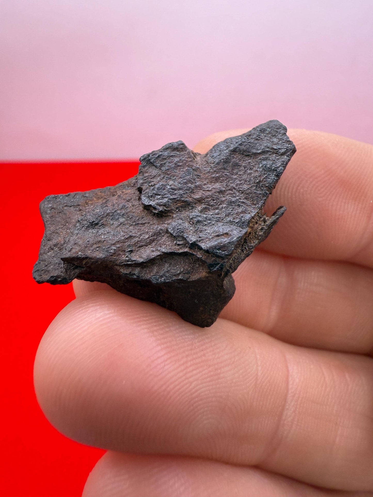 Gibeon Meteorite, Namibia, Iron IVA, 10.00 grams, Rare Meteorite, Iron Meteorite, Astronomy Gift, Space Gift, African Meteorite