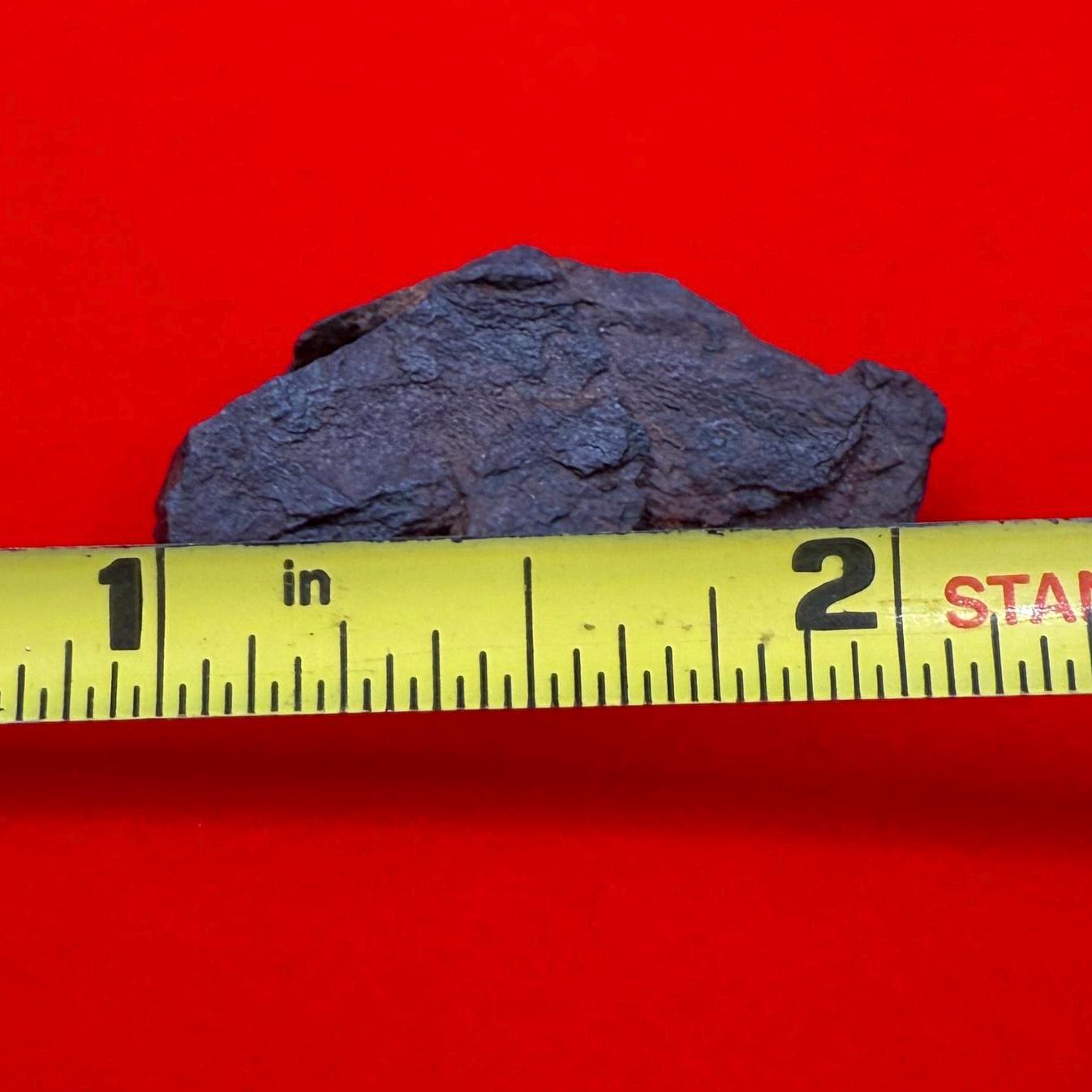 Gibeon Meteorite, Namibia, Iron IVA, 10.00 grams, Rare Meteorite, Iron Meteorite, Astronomy Gift, Space Gift, African Meteorite