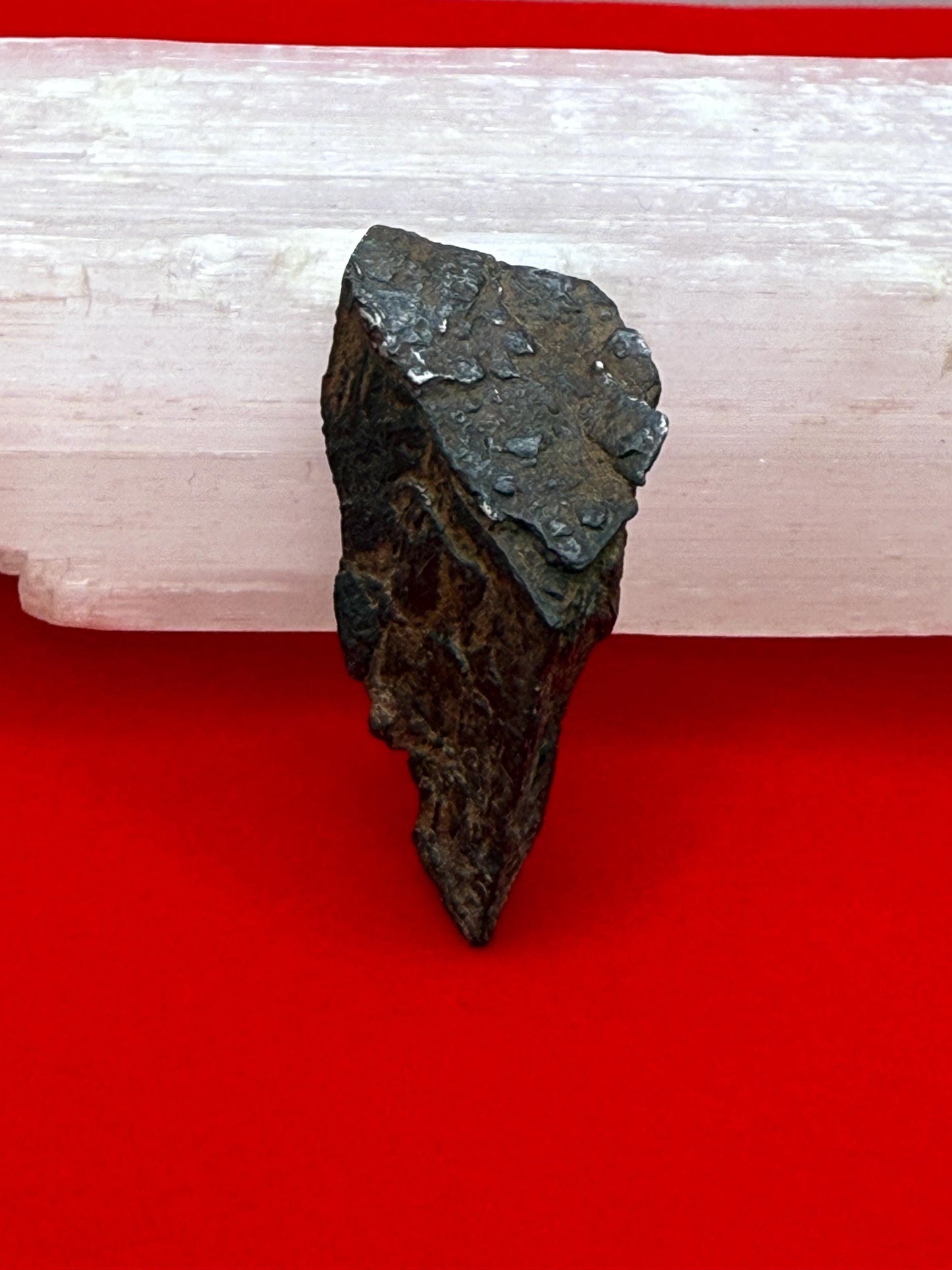 Gibeon Meteorite, Namibia, Iron IVA, 9.79 grams, Rare Meteorite, Iron Meteorite, Astronomy Gift, Space Gift, African Meteorite