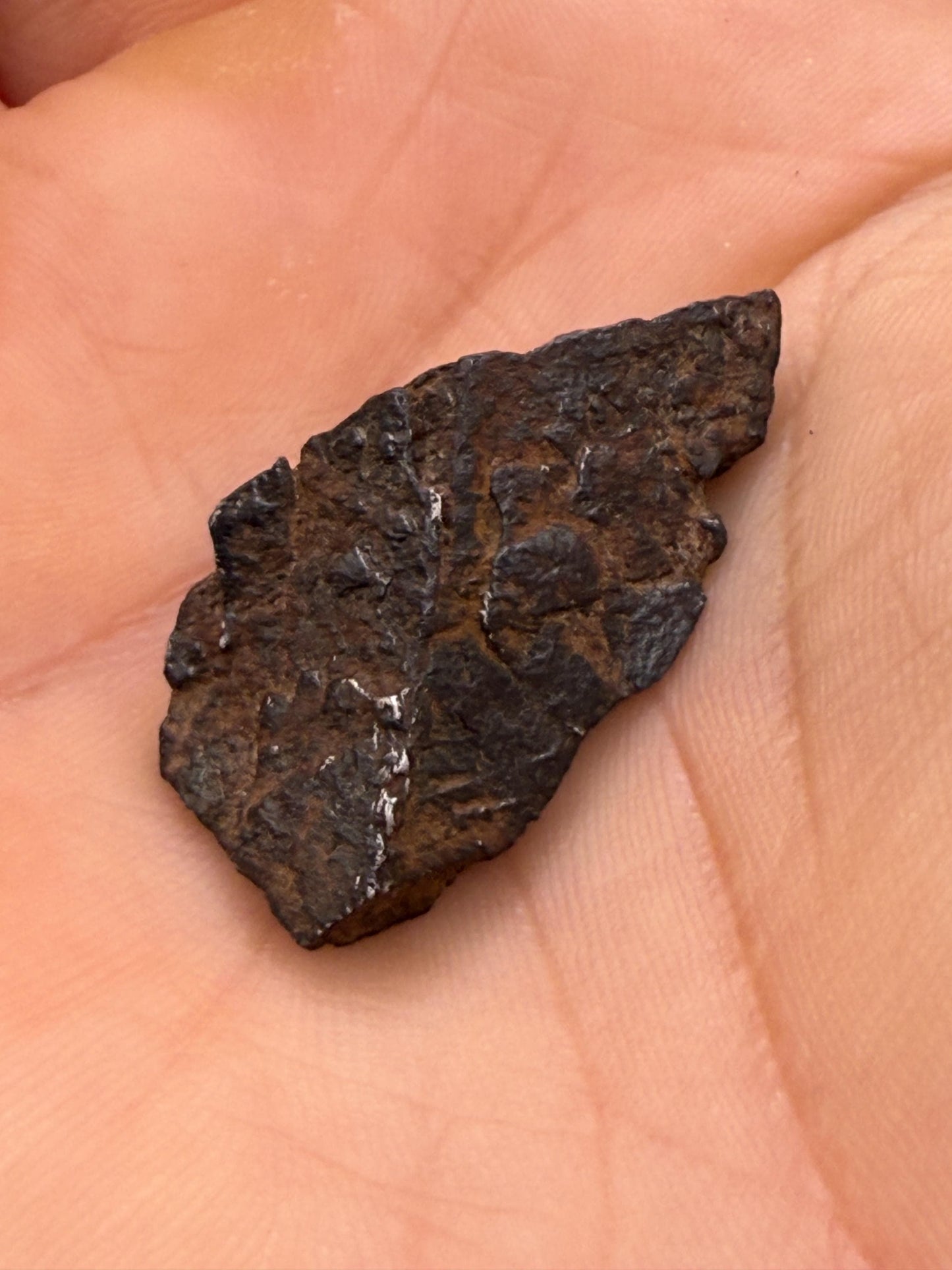 Gibeon Meteorite, Namibia, Iron IVA, 9.79 grams, Rare Meteorite, Iron Meteorite, Astronomy Gift, Space Gift, African Meteorite