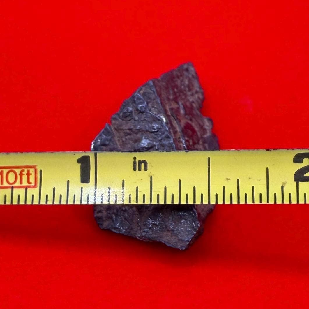 Gibeon Meteorite, Namibia, Iron IVA, 9.79 grams, Rare Meteorite, Iron Meteorite, Astronomy Gift, Space Gift, African Meteorite