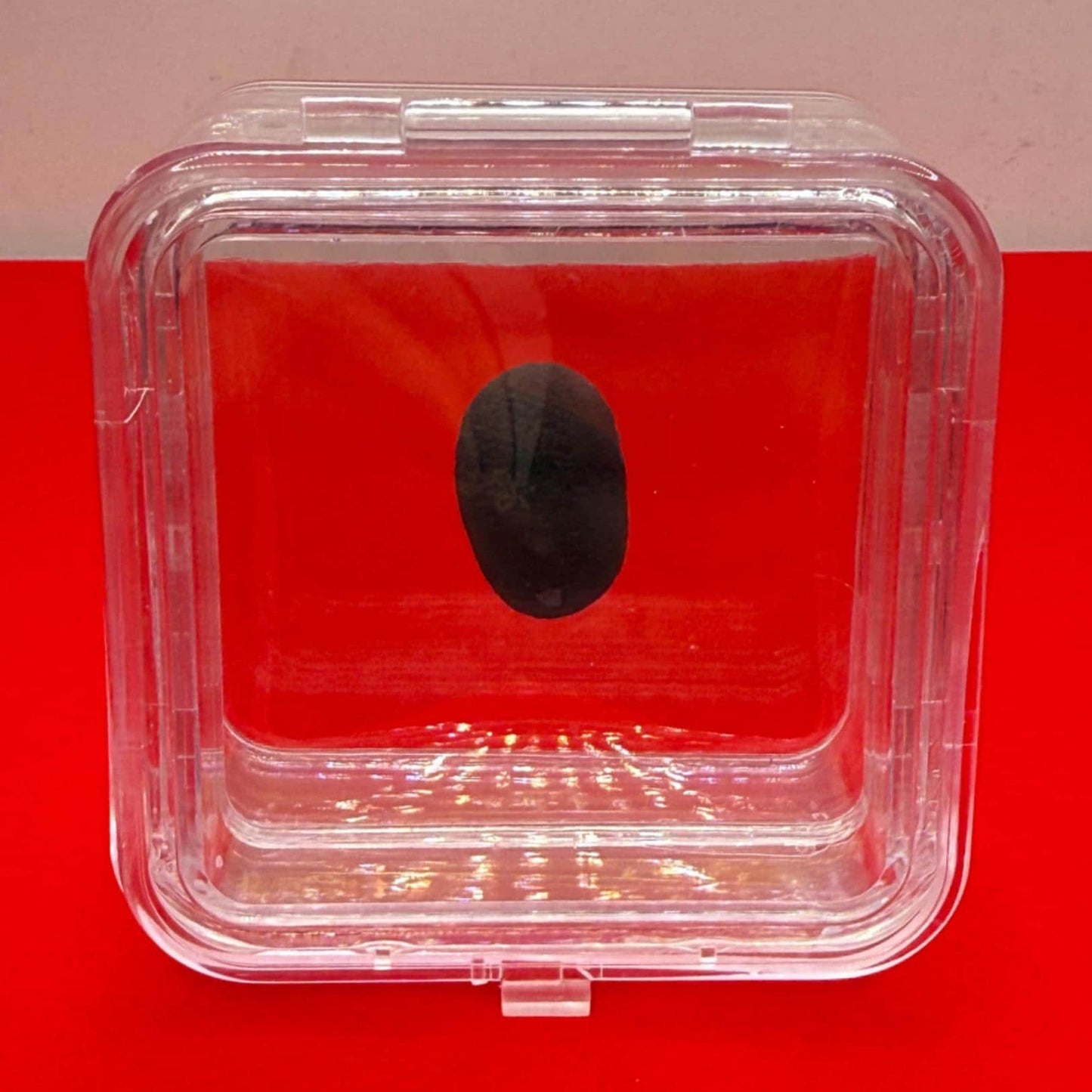 Saffordite Stone, Cintamani, Rare and Beautiful, Shamanic, Arizona, Pseudotektite, Obsidian, Metaphysical, 5.20 grams