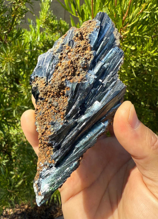Rare Large Vivianite Crystal Specimen, Vivianite, Vivianite, Brazilian Vivianite, Reiki Energy, Crystal Collection, Reiki, 275 Grams/9.8 oz
