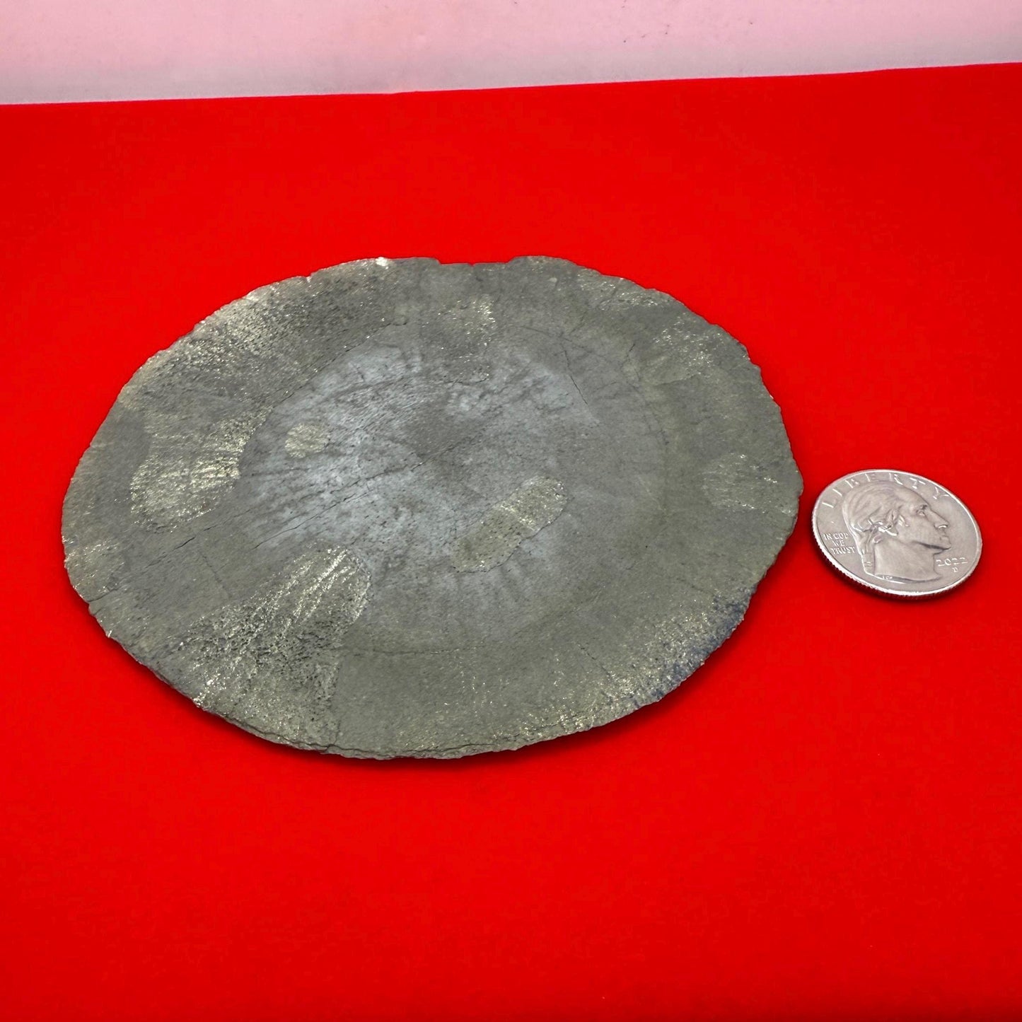 Sparkling Pyrite Sun, Pyrite Dollar, Pyrite, Rock Collection, Sparta Illinois, Radiant Sun, Abundance, Creativity, Energy Work, 160.82 Grams