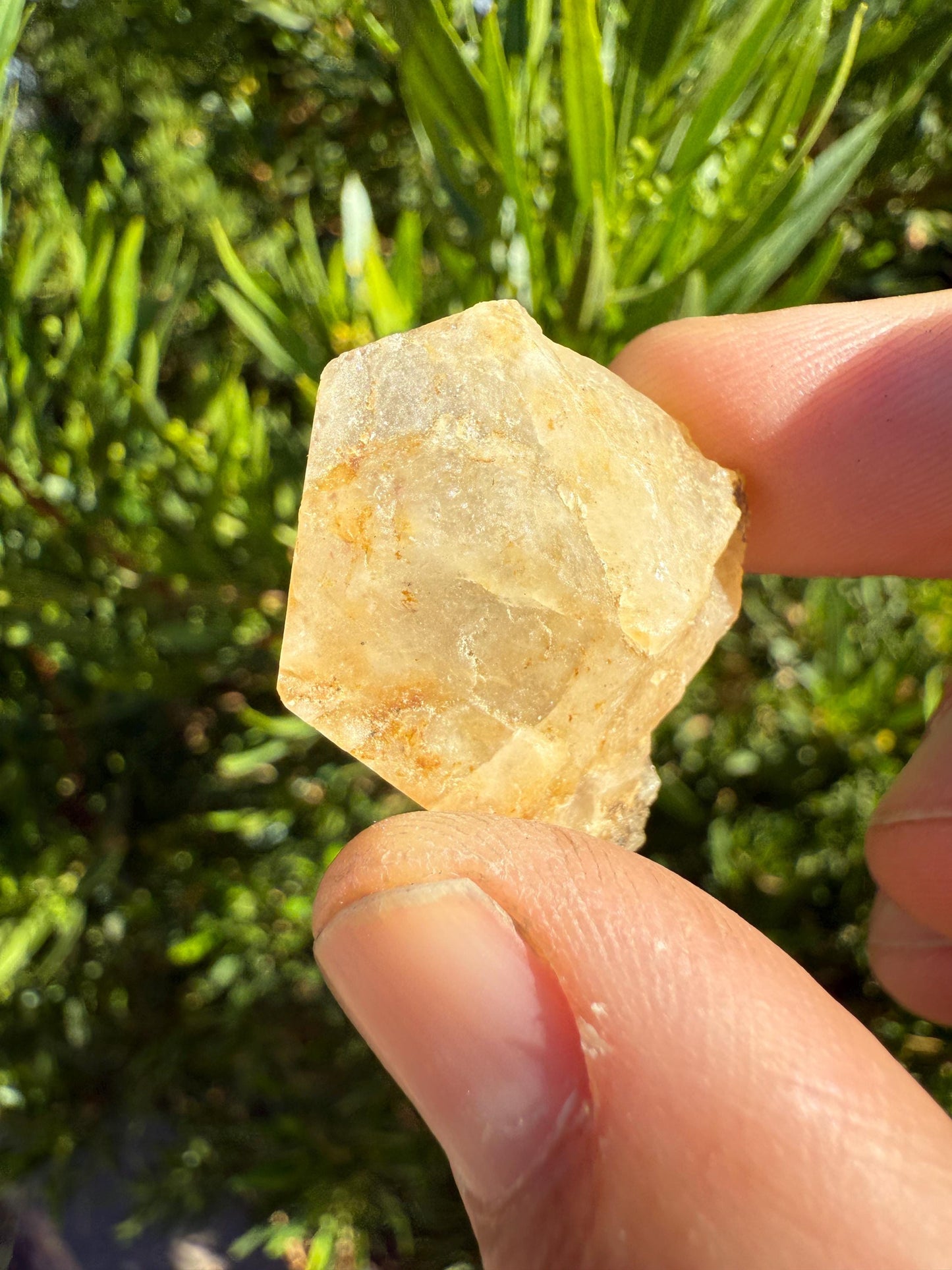 Golden Brazilian Phenacite Crystal: High-Vibration Gemstone, Reiki Energy Work, 13.98g/69.9ct