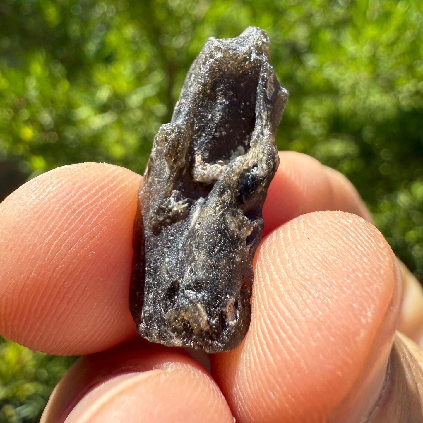 Darwin Glass Tektite: Tasmanian Impactite Talisman, 2.08 grams