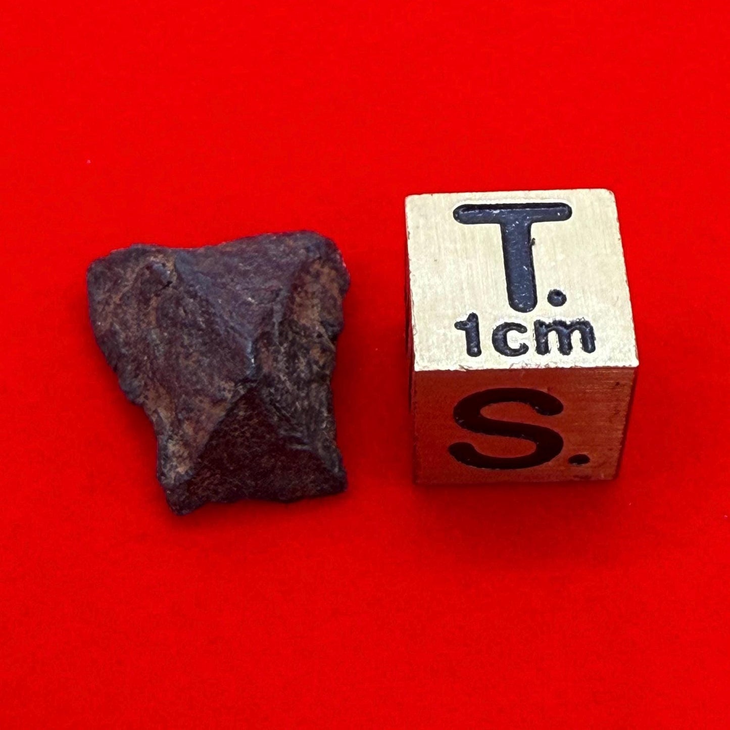 Gibeon Meteorite, Namibia, Iron IVA, 3.39 grams, Rare Meteorite, Iron Meteorite, Astronomy Gift, Space Gift, African Meteorite
