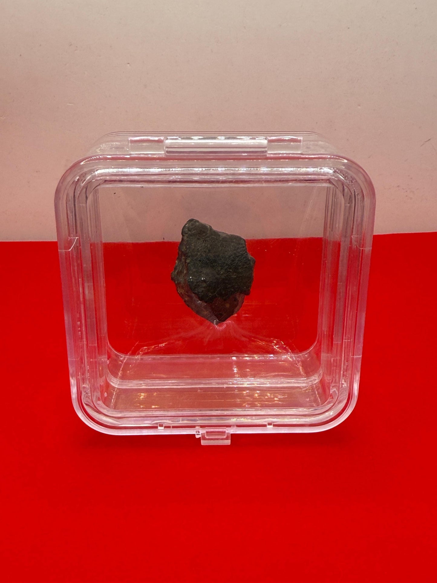 Meteorite NWA 869 Chondrite Stony Meteorite, 20.47 grams, Authentic Meteorite, Meteorite Collection, COA, Astronomy Gift, Space Gift