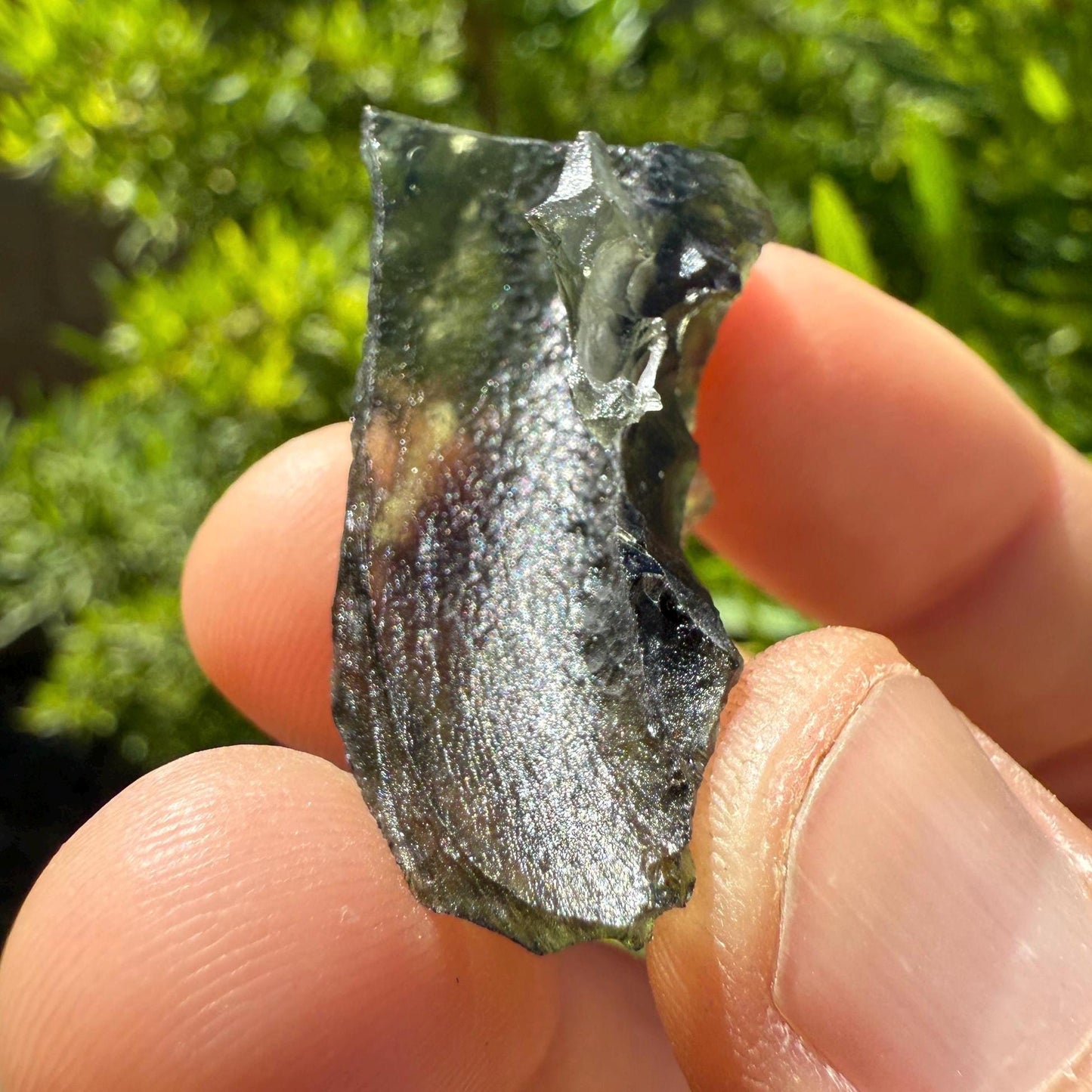 Authentic Moldavite Tektite Specimen: Czech Republic, Reiki Energy, 4.95g/24.75ct