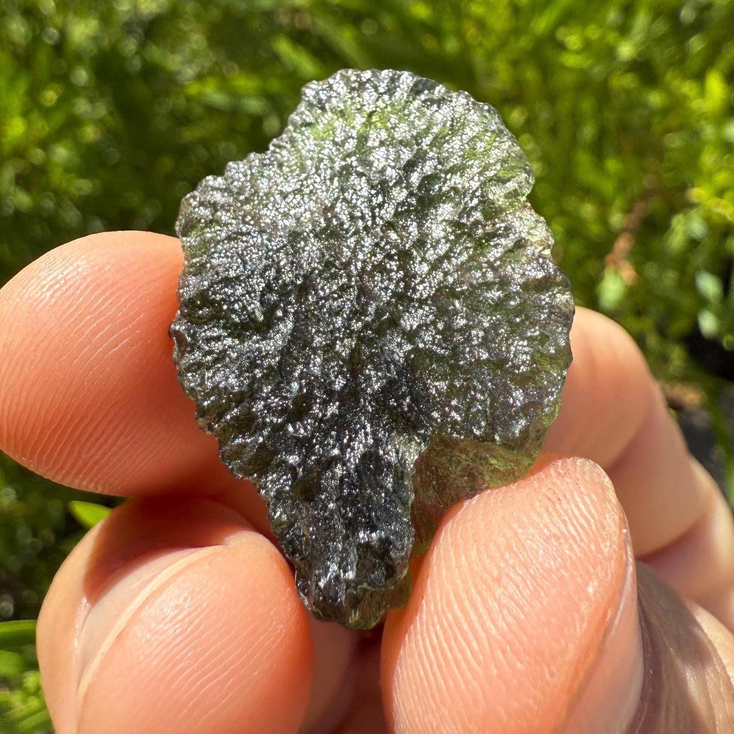 Authentic Moldavite Tektite Specimen: Czech Republic, Reiki Energy, 4.54g/22.7ct
