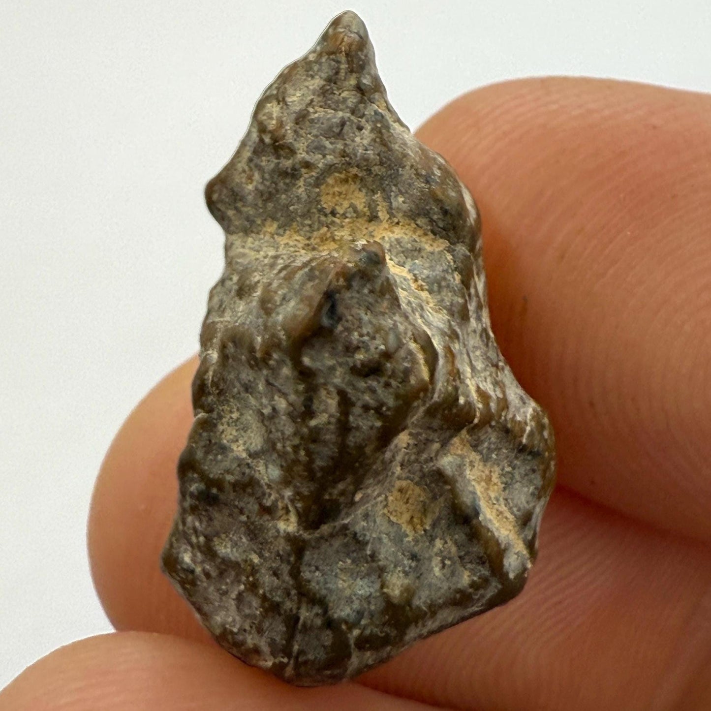 NWA 13974 Moon|Lunar Meteorite, Feldspathic Breccia, Moon Meteorite, Meteorite Collection, Lunar Feldspathic Breccia, 2.87 grams