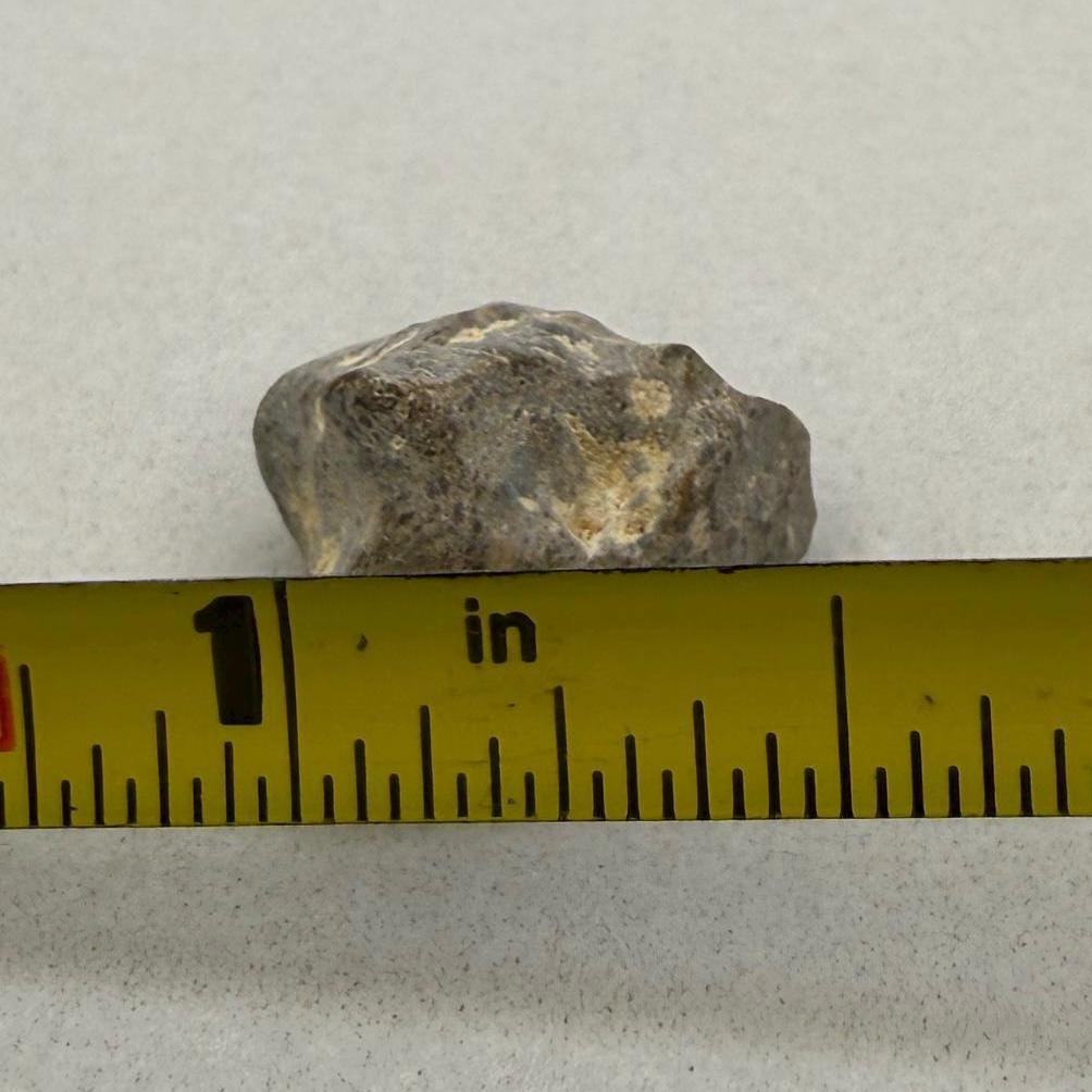 NWA 13974 Moon|Lunar Meteorite, Feldspathic Breccia, Moon Meteorite, Meteorite Collection, Lunar Feldspathic Breccia, 1.88 grams