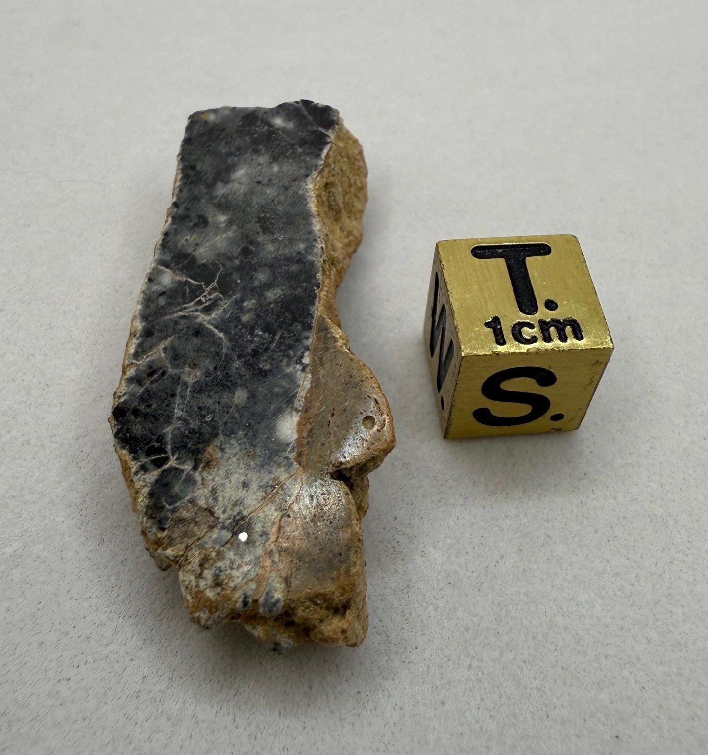 NWA 15373 Moon/Lunar Meteorite Slice, Feldspathic Breccia, Moon Meteorite, Meteorite Collection, Lunar Feldspathic Breccia, 8.17 grams
