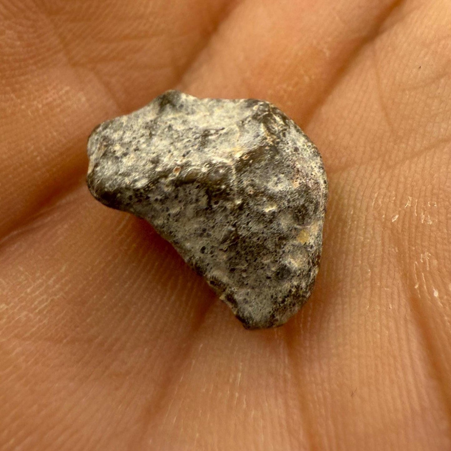NWA 13974 Moon|Lunar Meteorite, Feldspathic Breccia, Moon Meteorite, Meteorite Collection, Lunar Feldspathic Breccia, 1.12 grams