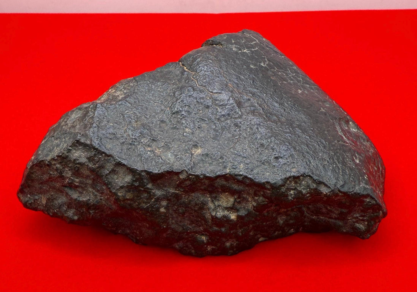 NWA 869 Meteorite 343.29g | Large Oriented Chondrite with Fusion Crust | COA