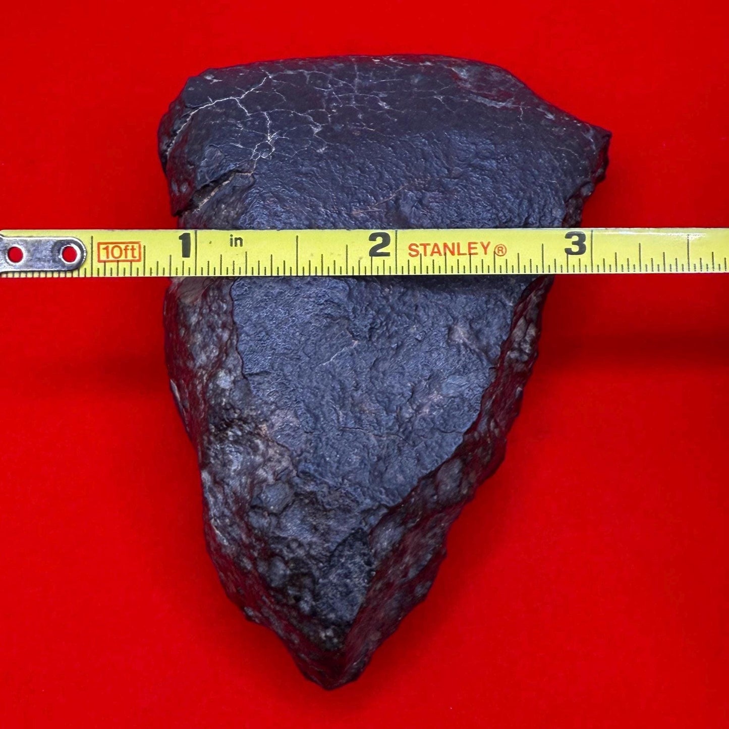 NWA 869 Meteorite 343.29g | Large Oriented Chondrite with Fusion Crust | COA