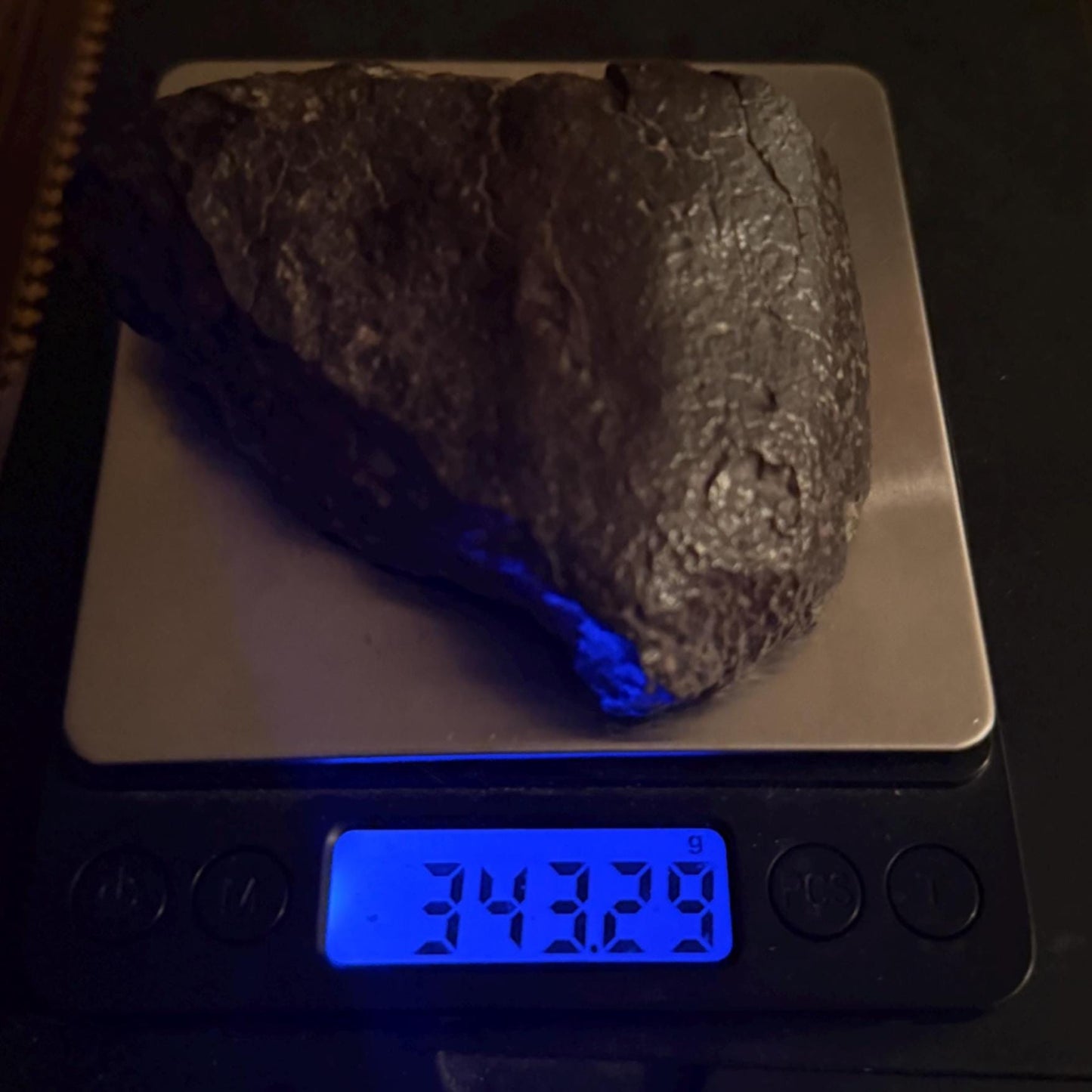 NWA 869 Meteorite 343.29g | Large Oriented Chondrite with Fusion Crust | COA