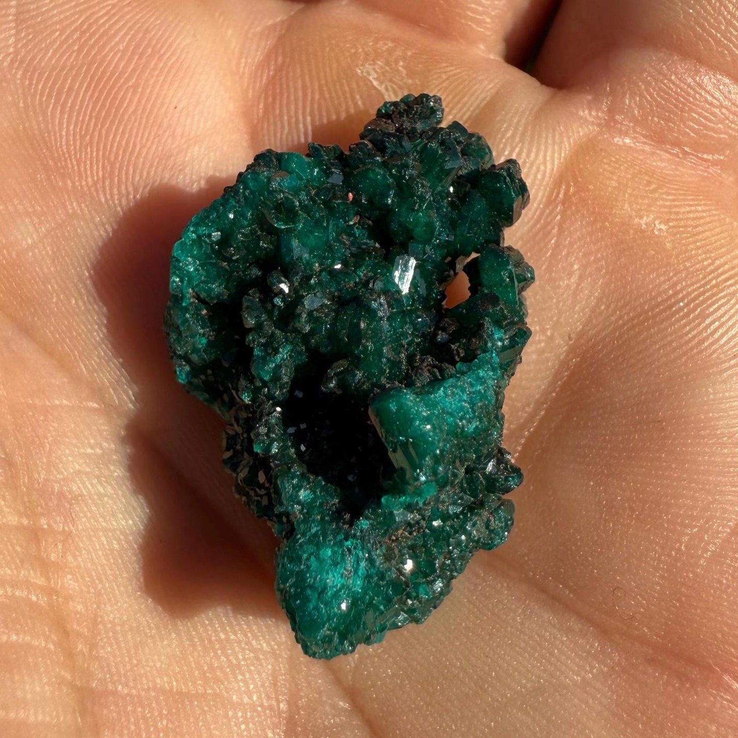 Dioptase Crystal Cluster: Congo Emerald Green Gemstone, Reiki Healing, 5.96g