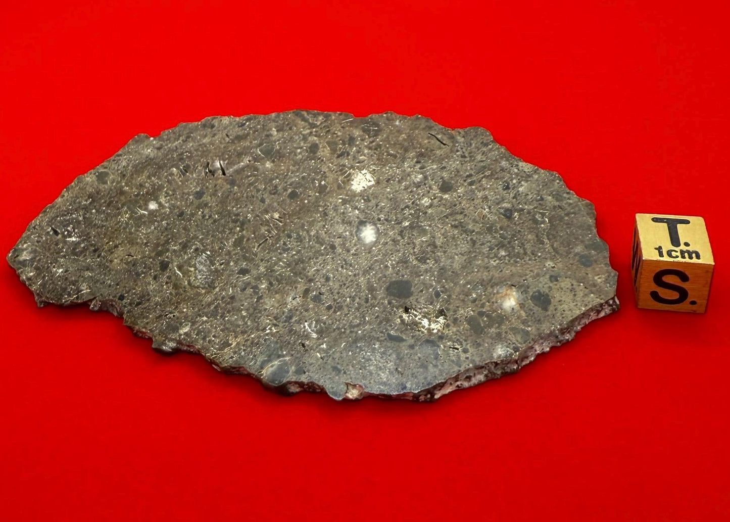 Rare Oued El Hameen 001 Lunar Meteorite Slice – 31.40g Aqueously Altered Moon Rock