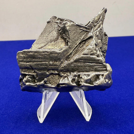 Aletai Iron-Nickel Meteorite Specimen: Astronomy Gift, COA, 64.04 grams