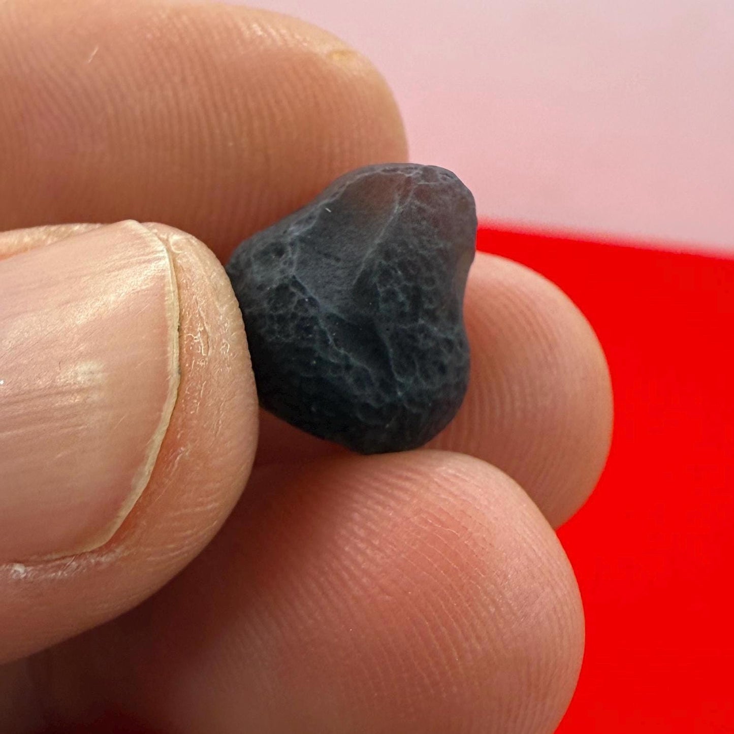 Saffordite Stone, Cintamani, Rare and Beautiful, Shamanic, Arizona, Pseudotektite, Obsidian, Metaphysical, 1.68 grams
