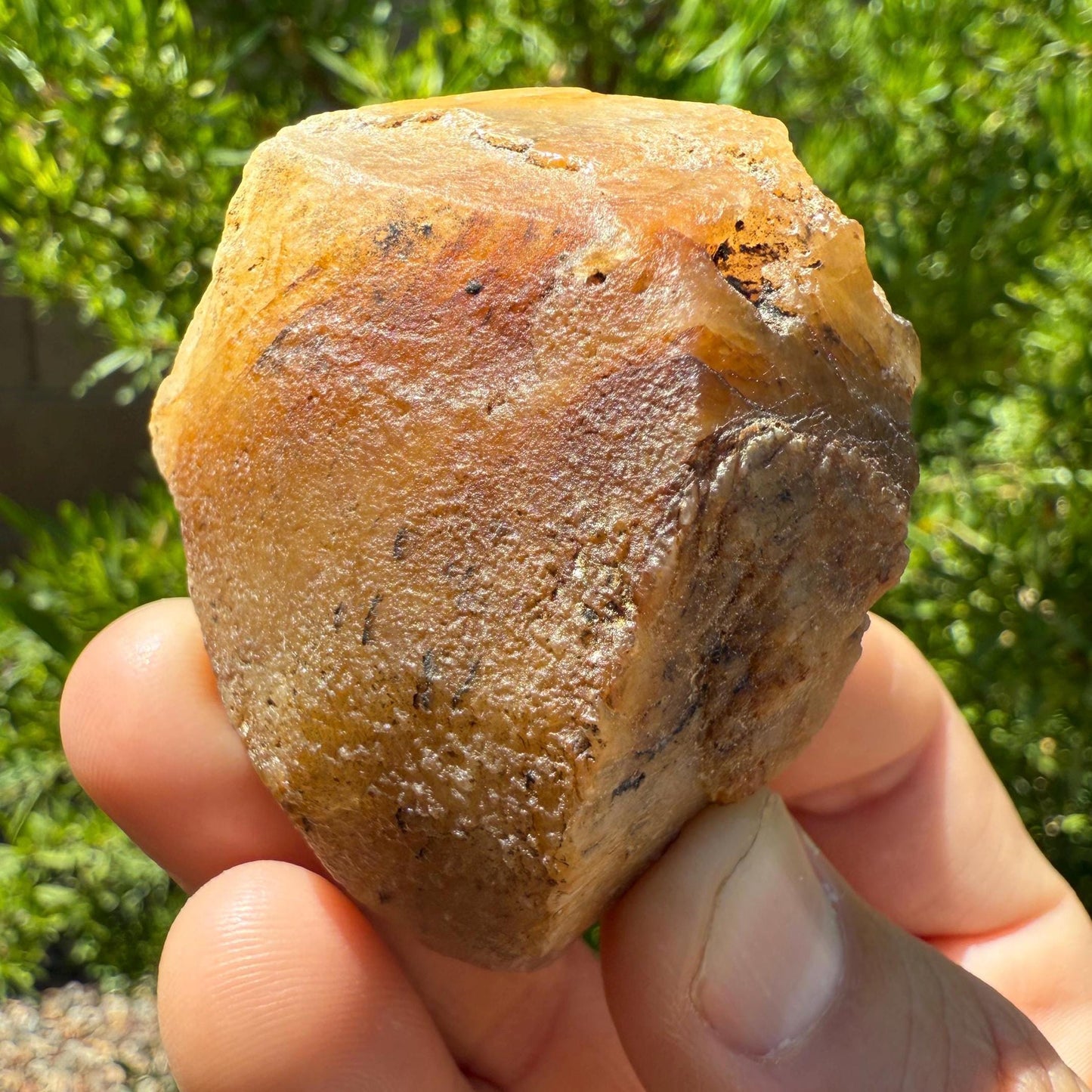 Rare Golden Brazilian Phenacite Crystal 87.54, 438 carats, High-Vibration Energy Stone, Spiritual Growth, Transformation, and Meditation