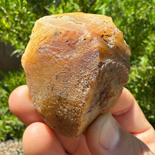 Rare Golden Brazilian Phenacite Crystal 87.54, 438 carats, High-Vibration Energy Stone, Spiritual Growth, Transformation, and Meditation