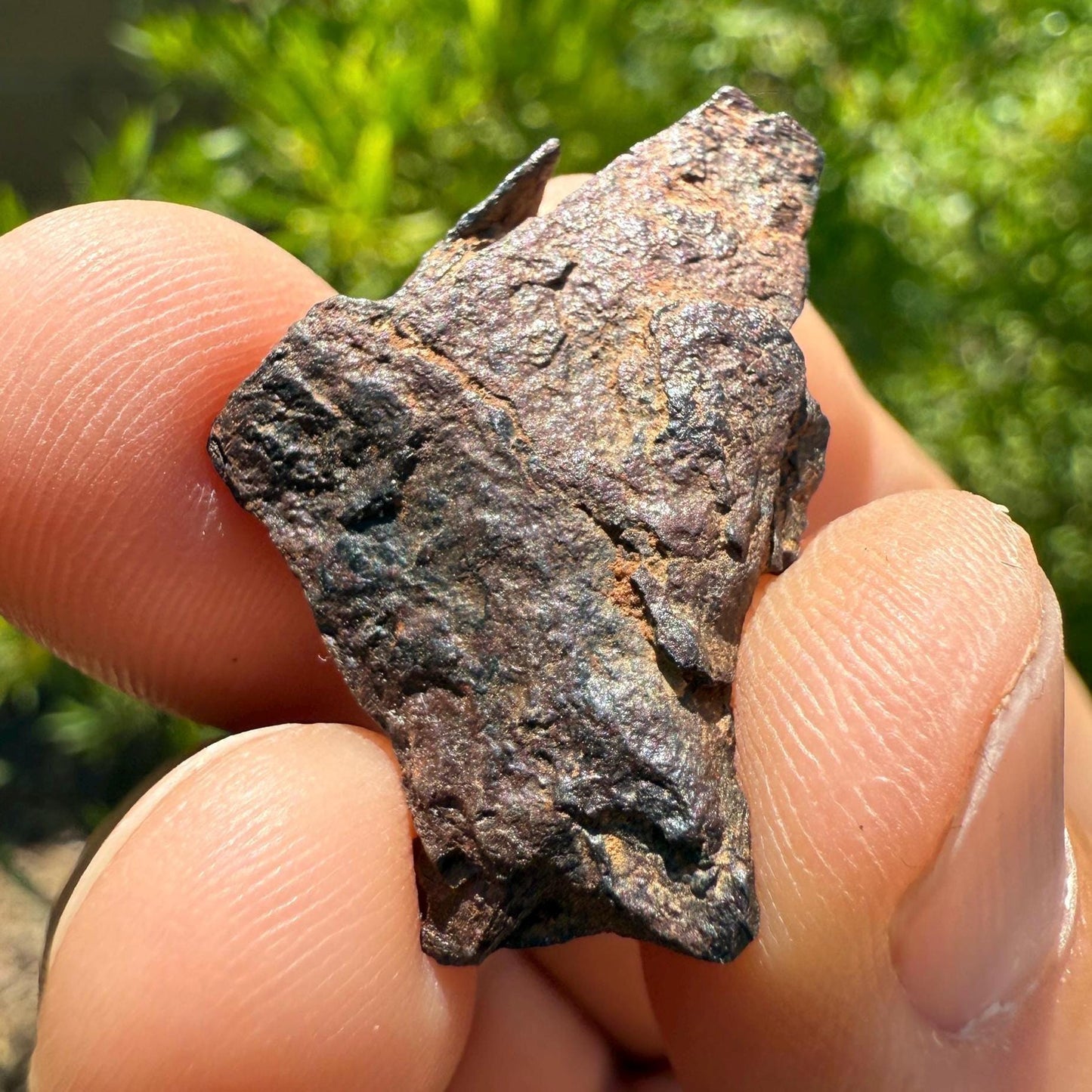 Gibeon Meteorite, Namibia, Iron IVA, 10.00 grams, Rare Meteorite, Iron Meteorite, Astronomy Gift, Space Gift, African Meteorite