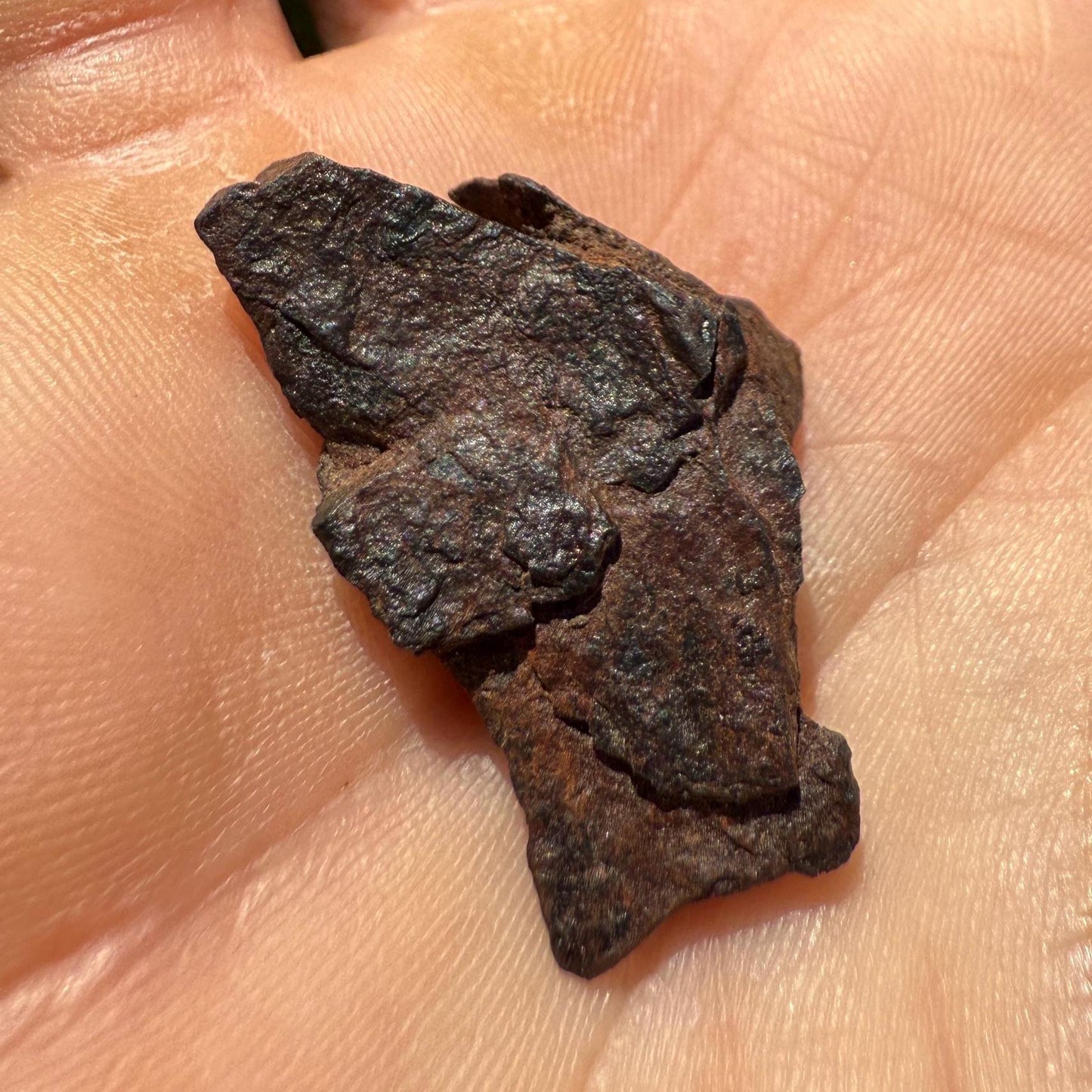 Gibeon Meteorite, Namibia, Iron IVA, 10.00 grams, Rare Meteorite, Iron Meteorite, Astronomy Gift, Space Gift, African Meteorite