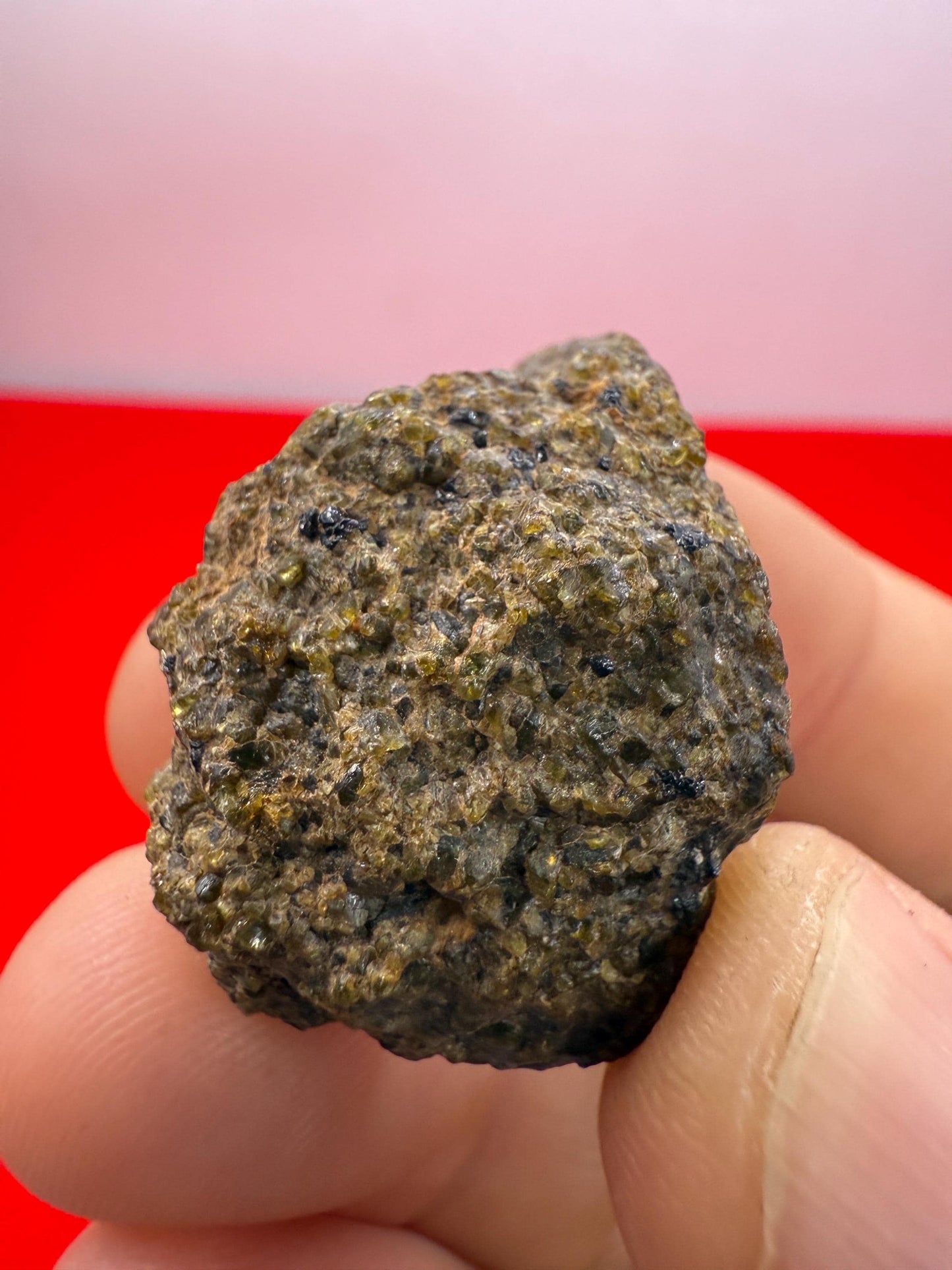 NWA 17418 Diogenite Meteorite: HED Achondrite Specimen, 19.45 grams