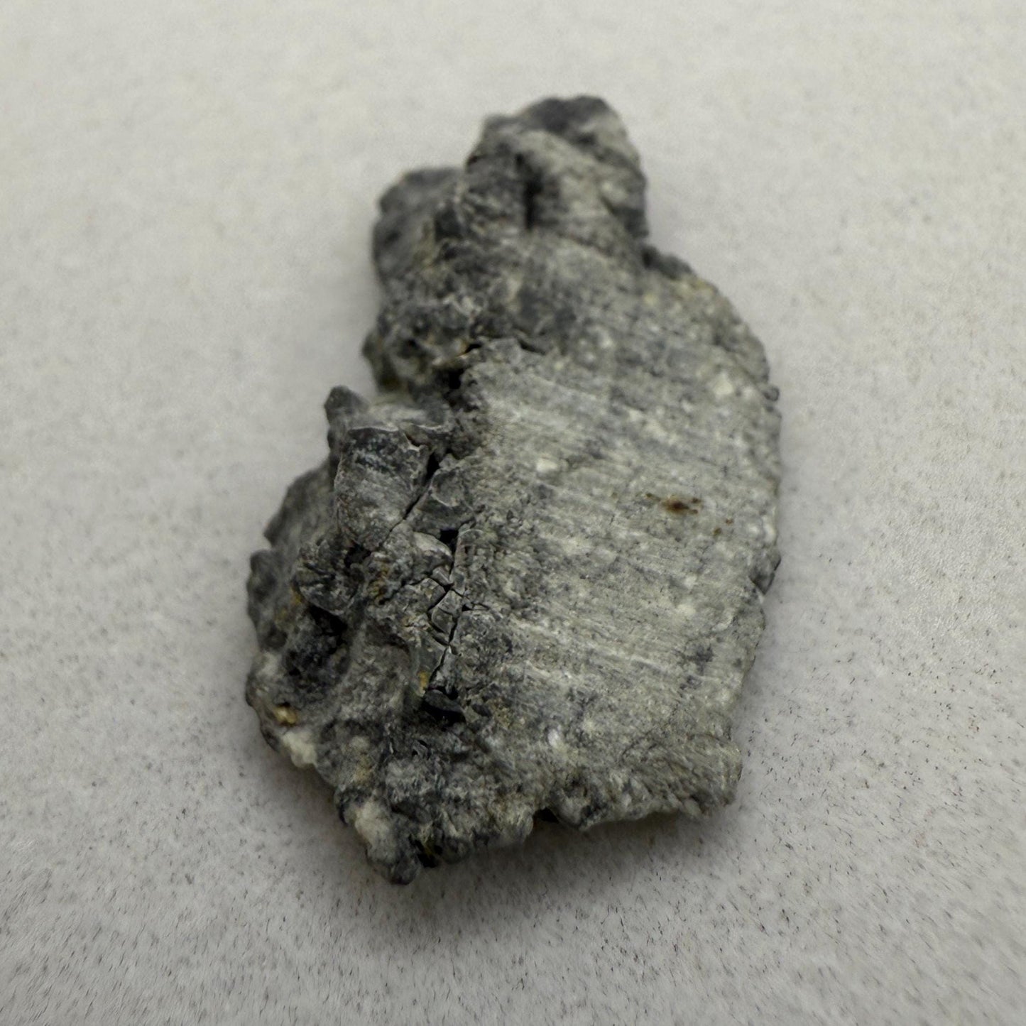 Gadamis 003 Moon/Lunar Meteorite Slice, Authentic Lunar Meteorite,Apollo Lunar, Moon Meteorite, Meteorite Collection, Moon Slice, 1.09 grams