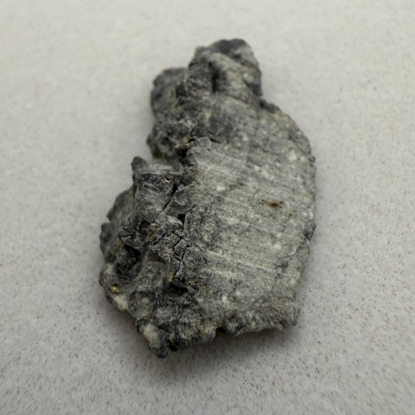 Authentic Gadamis 003 Lunar Meteorite Slice - Moon Meteorite Collection