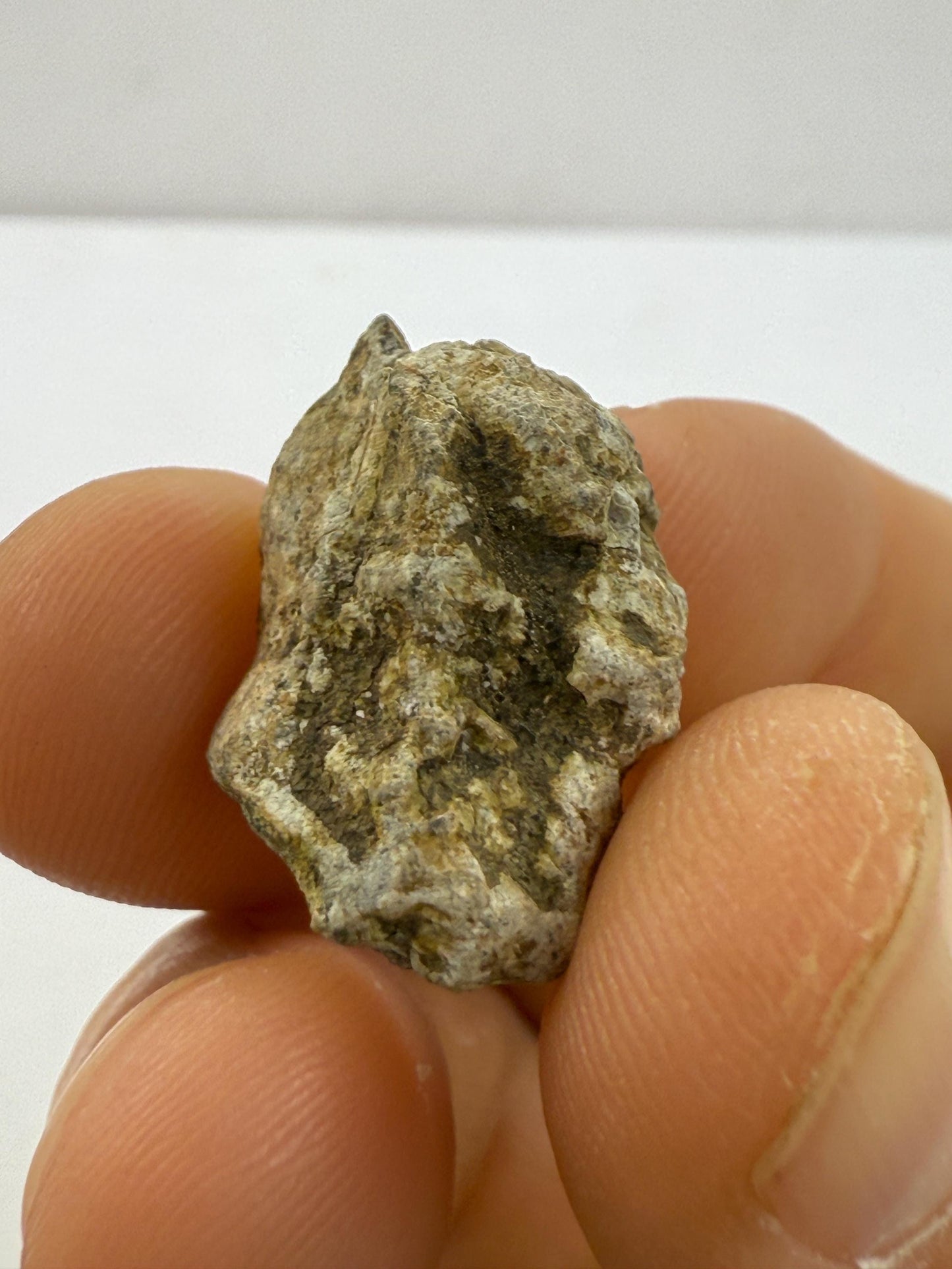 Polished NWA 15373 Lunar Meteorite Slice: 3.47 gram Feldspathic Breccia