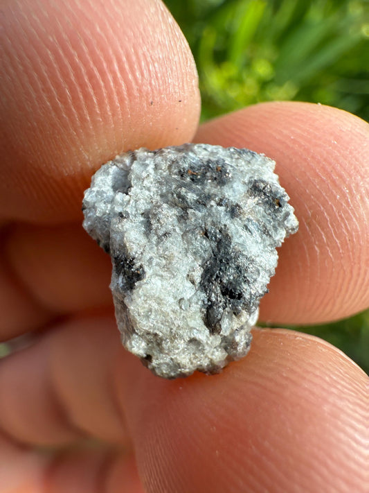 Rare NWA 7611 Meteorite - Lunar Classified, Possibly Mercurian Origin, 1.35g Cosmic Collector’s Gem