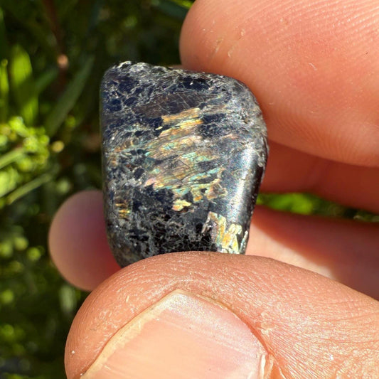 Nuummite Stone: Greenland Stone for Reiki, Grounding, Talisman, 11.51 grams