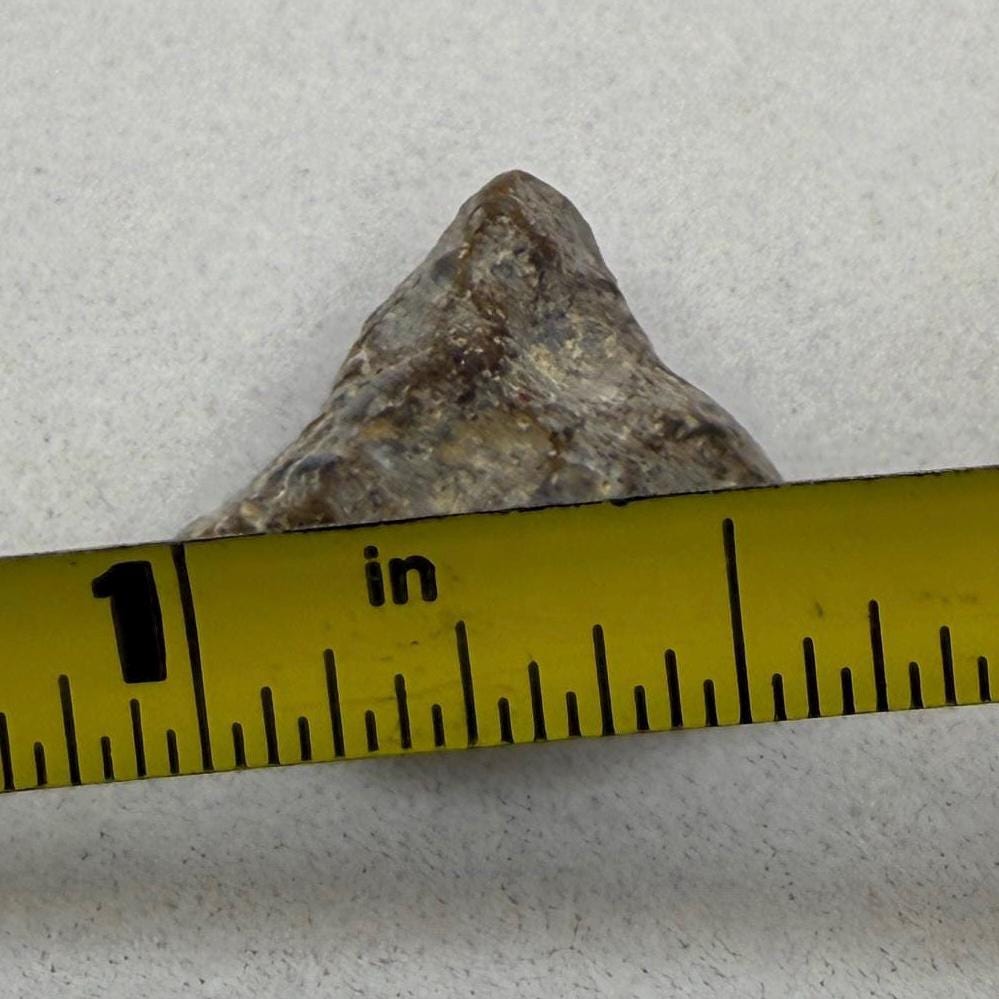 NWA 13974 Moon|Lunar Meteorite, Feldspathic Breccia, Moon Meteorite, Meteorite Collection, Lunar Feldspathic Breccia, 1.47 grams