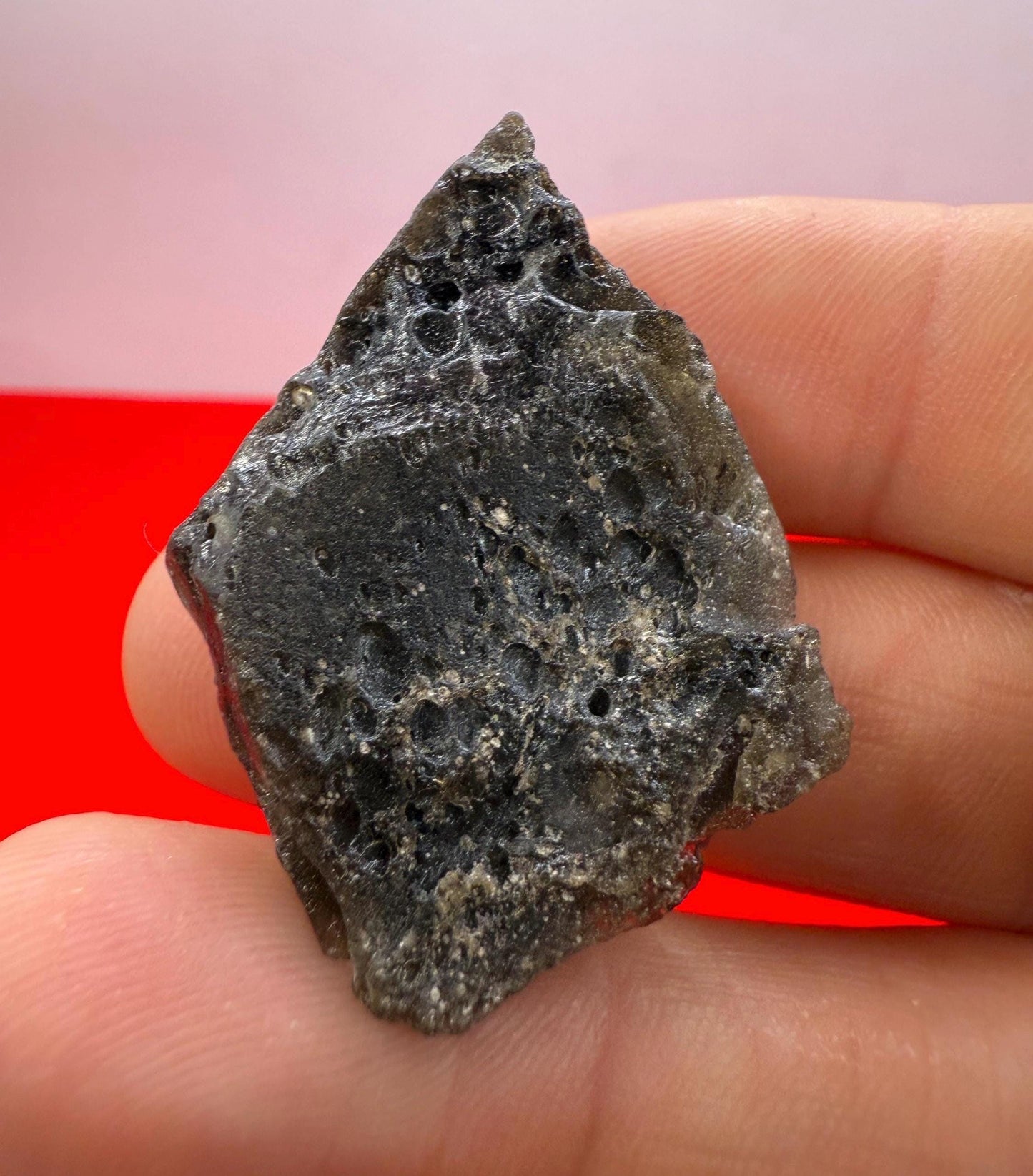 Darwin Glass Tektite: Tasmanian Impactite Talisman, 8.52g