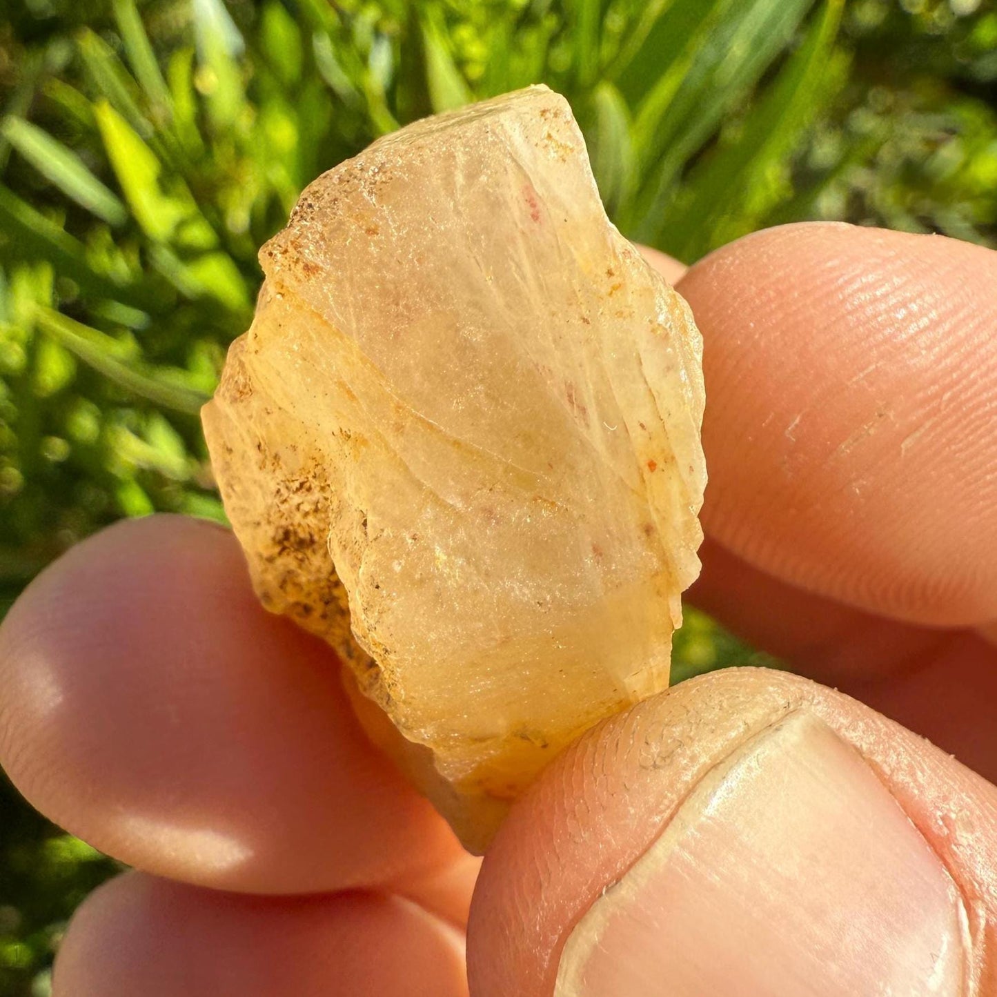 Golden Brazilian Phenacite Crystal: High-Vibration Gemstone, Reiki Energy Work, 13.98g/69.9ct