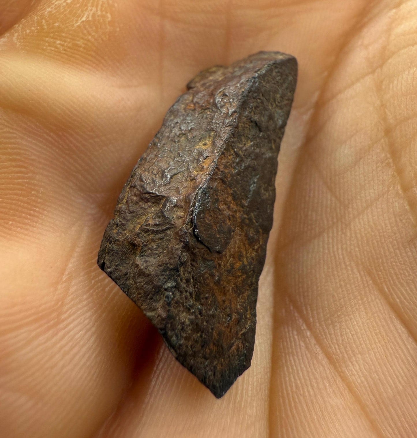 Gibeon Meteorite: 9.48 grams, Iron IVA, Namibia, Rare Iron Meteorite