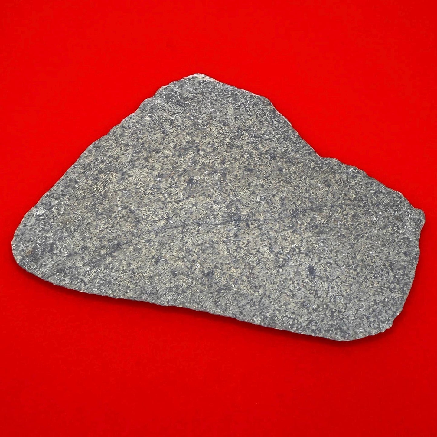 Rare Martian Meteorite Slice – 32.91g NWA 17472 Basaltic Shergottite | Certified Mars Rock | Collectible Space Specimen