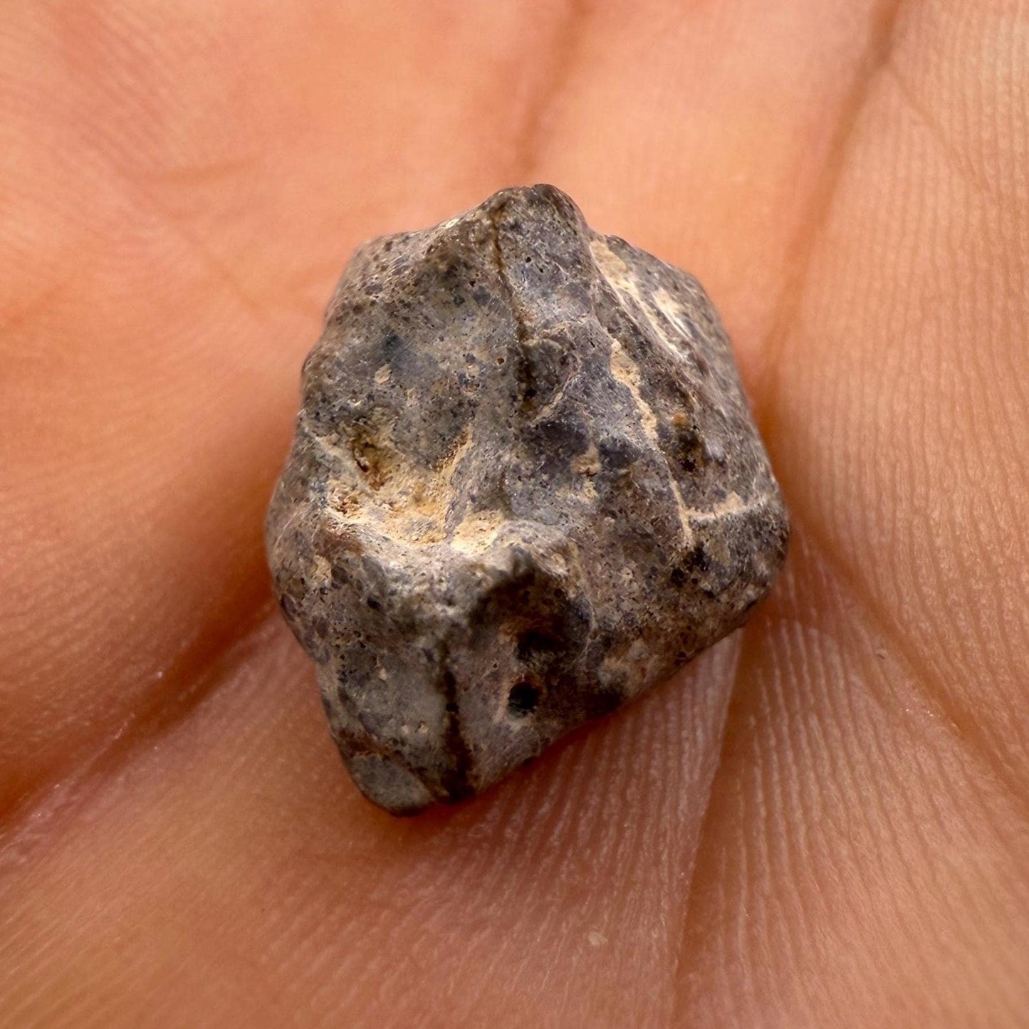 NWA 13974 Moon|Lunar Meteorite, Feldspathic Breccia, Moon Meteorite, Meteorite Collection, Lunar Feldspathic Breccia, 1.88 grams