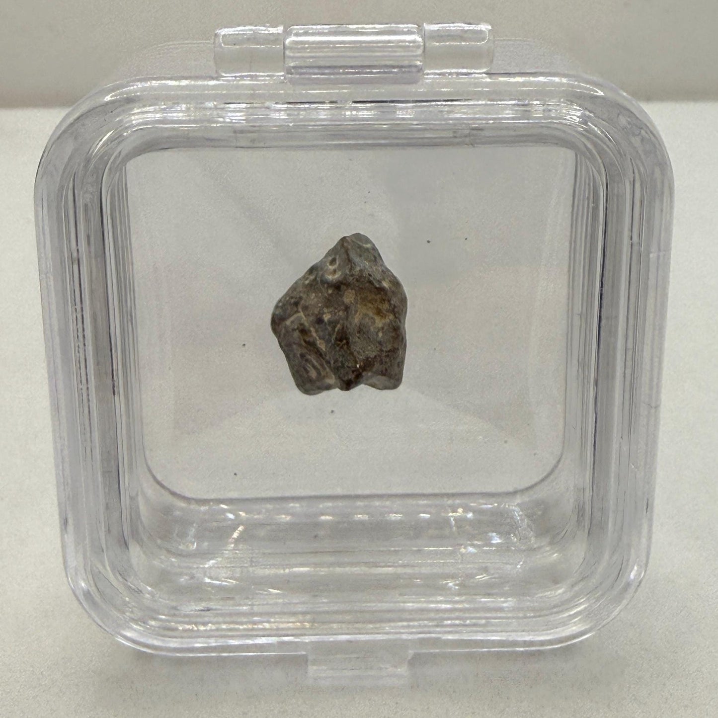 NWA 13974 Moon|Lunar Meteorite, Feldspathic Breccia, Moon Meteorite, Meteorite Collection, Lunar Feldspathic Breccia, 1.88 grams
