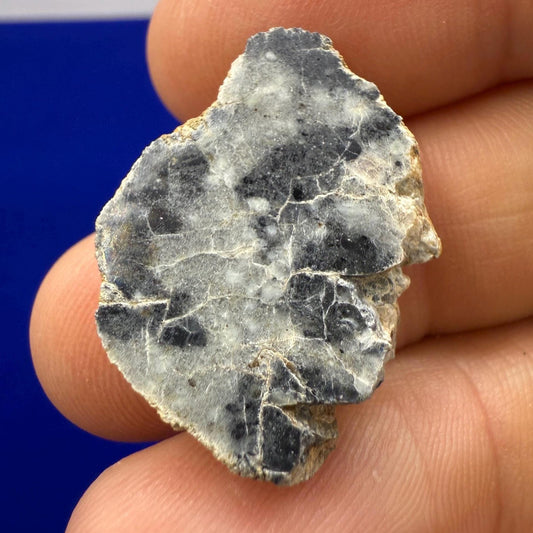 NWA 15373 Moon/Lunar Meteorite Slice, Feldspathic Breccia, Moon Meteorite, Meteorite Collection, Lunar Feldspathic Breccia, 3.61 grams