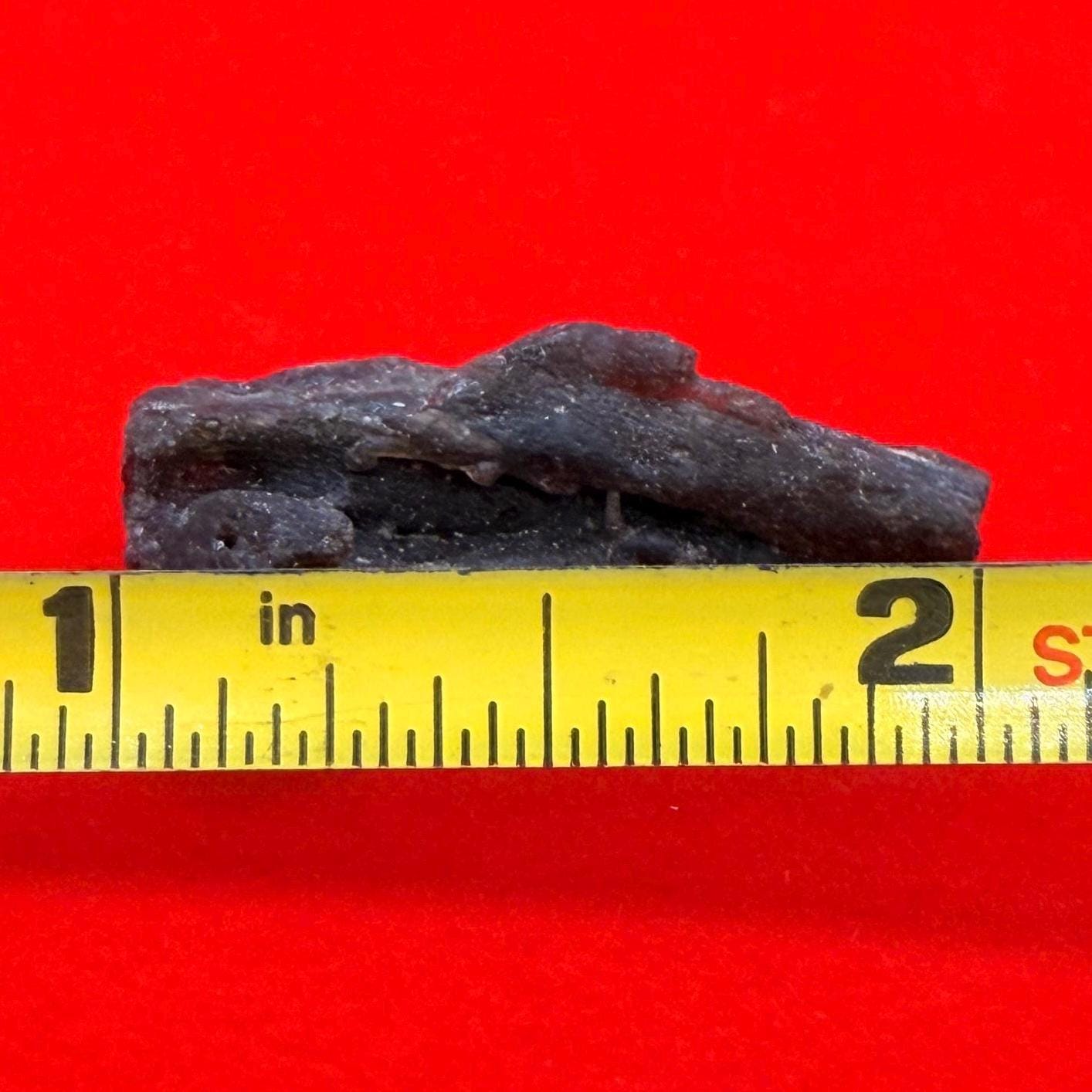 Darwin Glass Tektite: Tasmanian Impactite Talisman, 2.68 grams