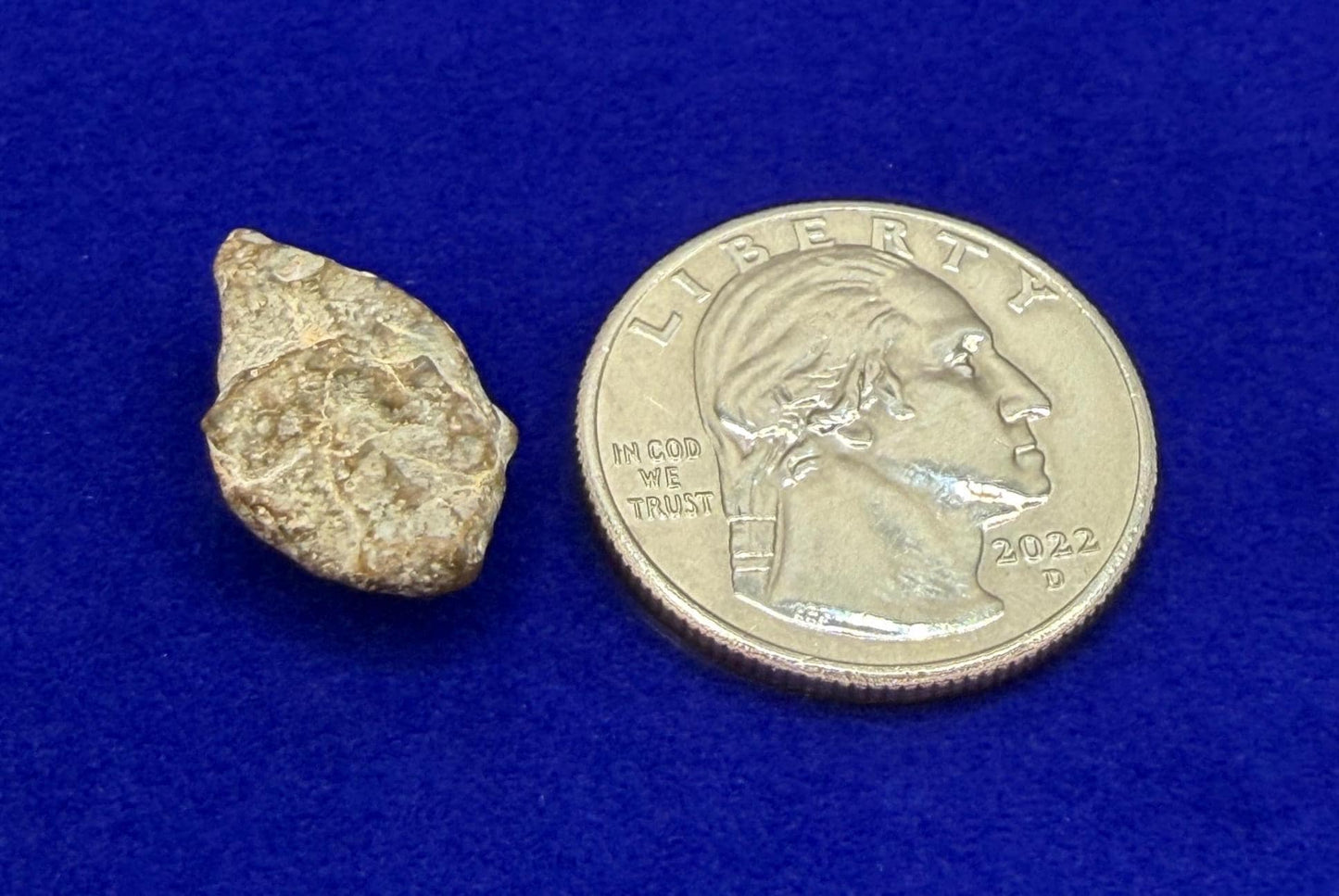 NWA 13974 Lunar Meteorite - Feldspathic Breccia, 1.70 grams