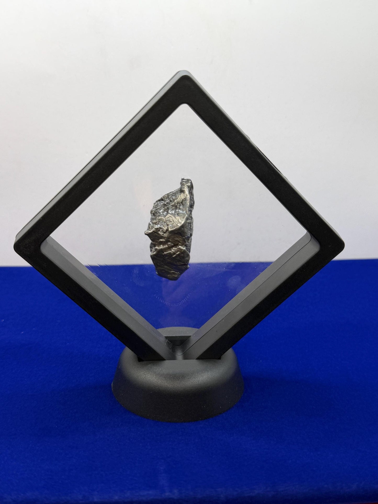 Aletai Iron-Nickel Meteorite Specimen: Astronomy Gift, COA, 37.10 grams