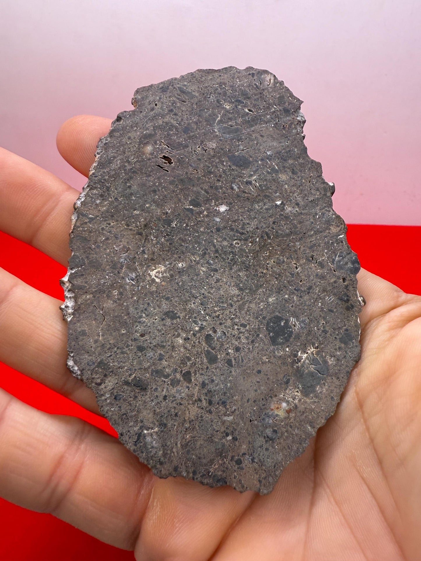 Rare Oued El Hameen 001 Lunar Meteorite Slice – 31.40g Aqueously Altered Moon Rock